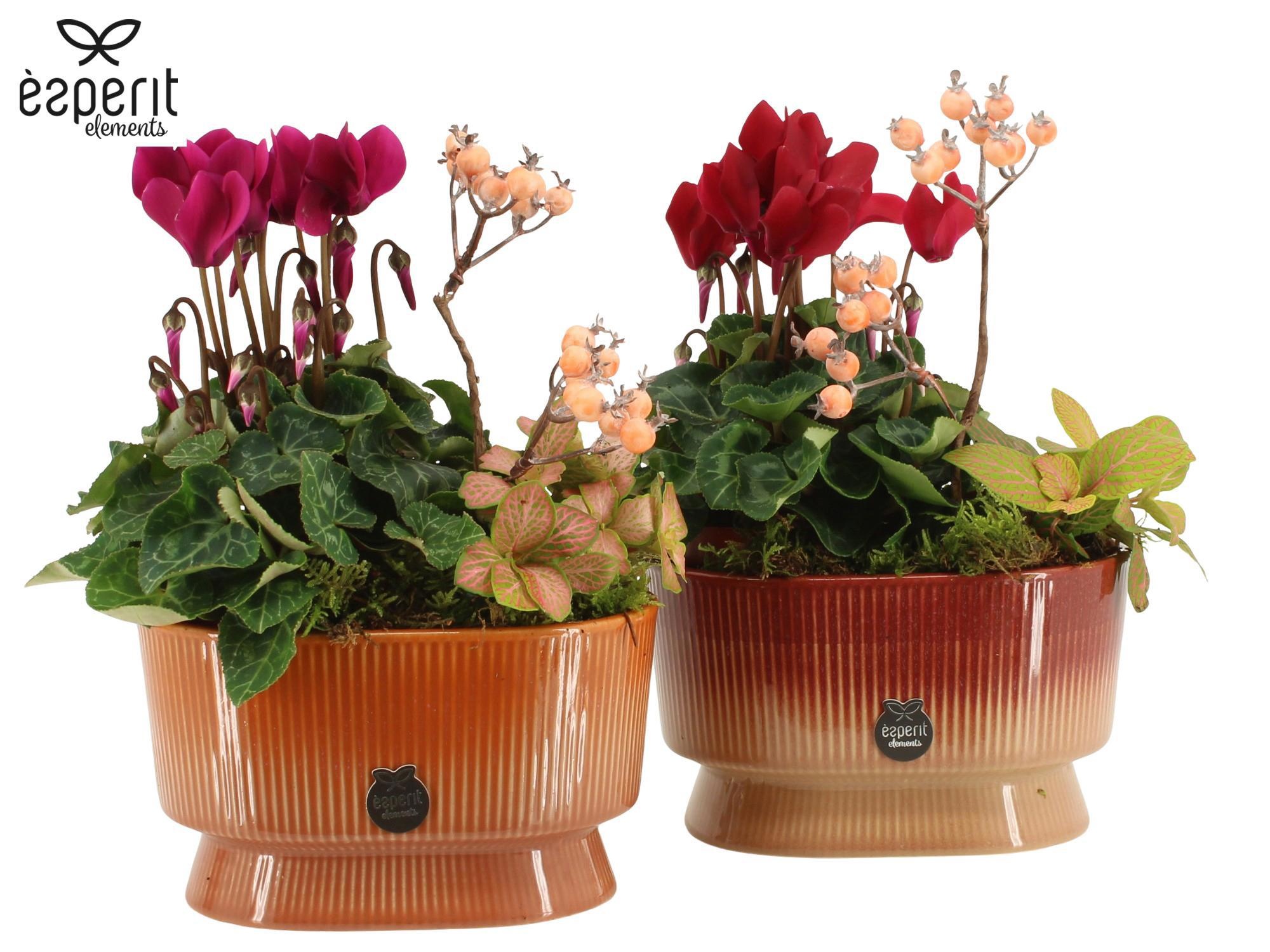 41818: Recreate arrangement, D 17