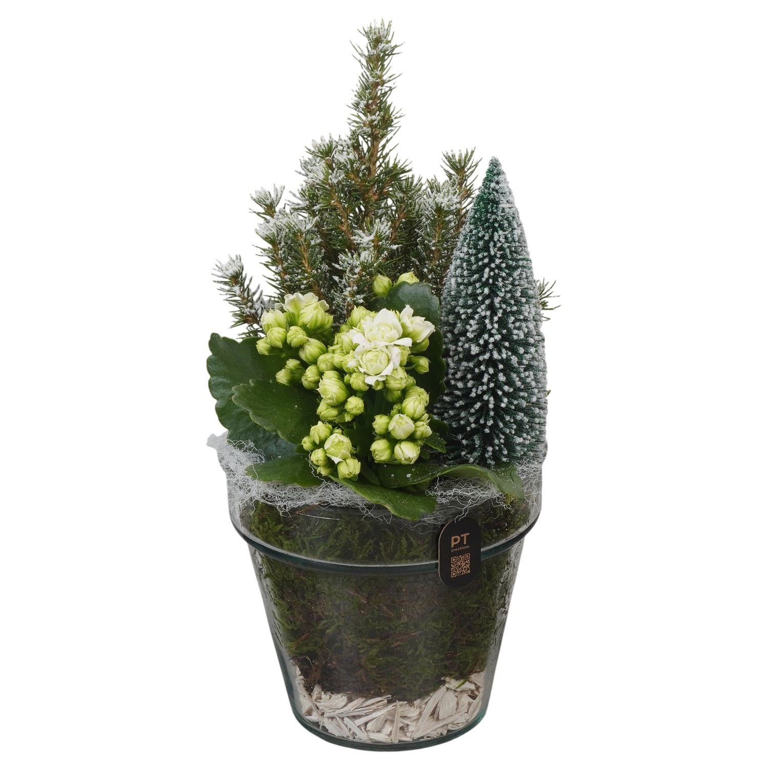 PTCHGR1906 Arrangement Christmas Green in glazen vaas, D 13