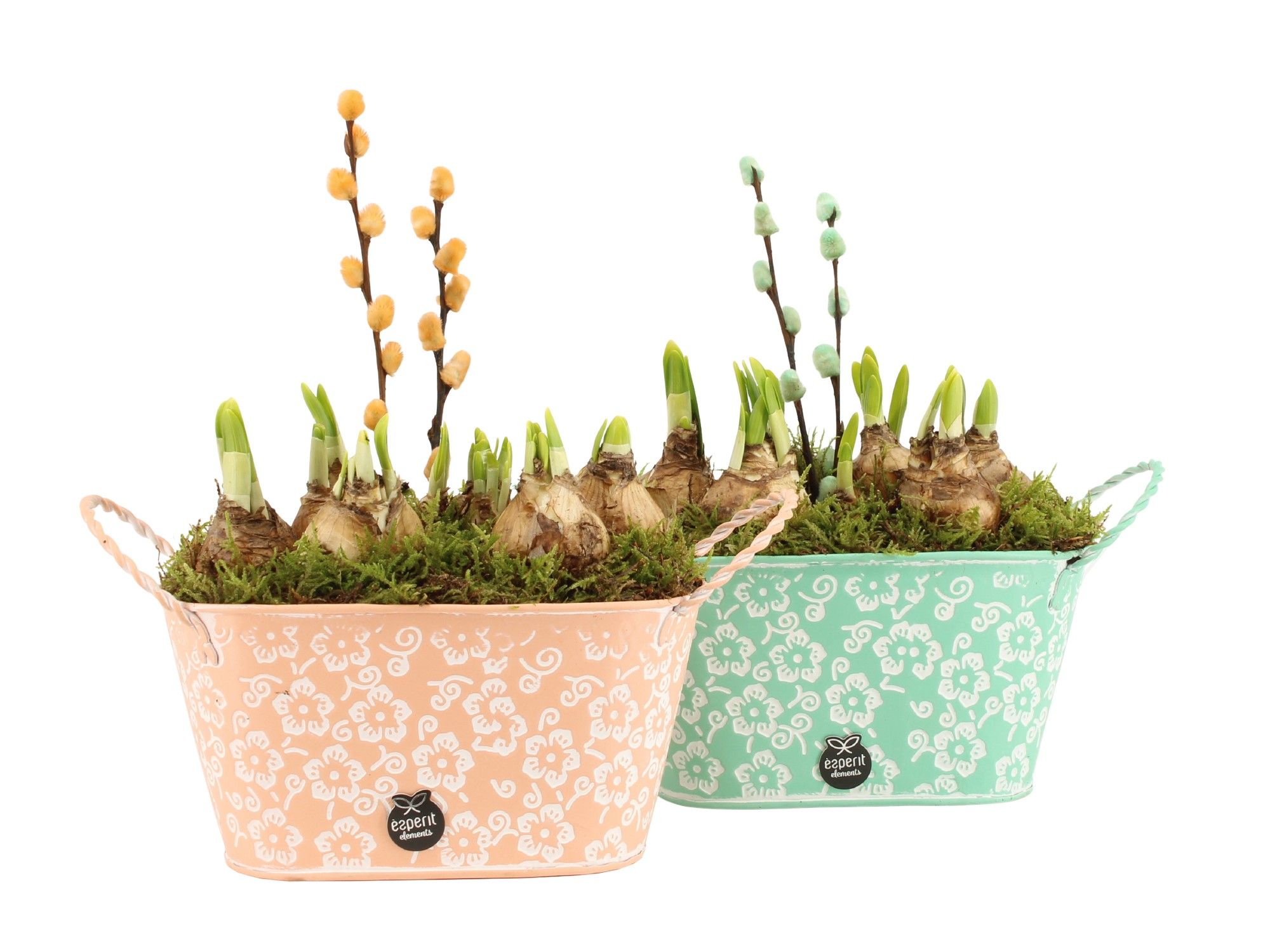 11645: Outdoor spring arrangement, D 19 cm