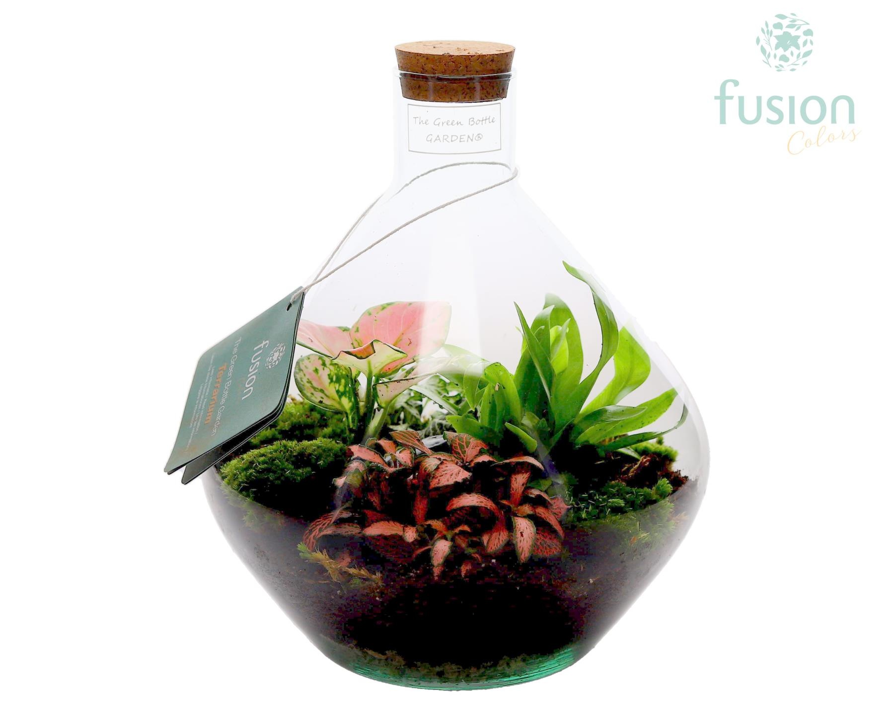 Terrarium John Medium met arrangement, D 22