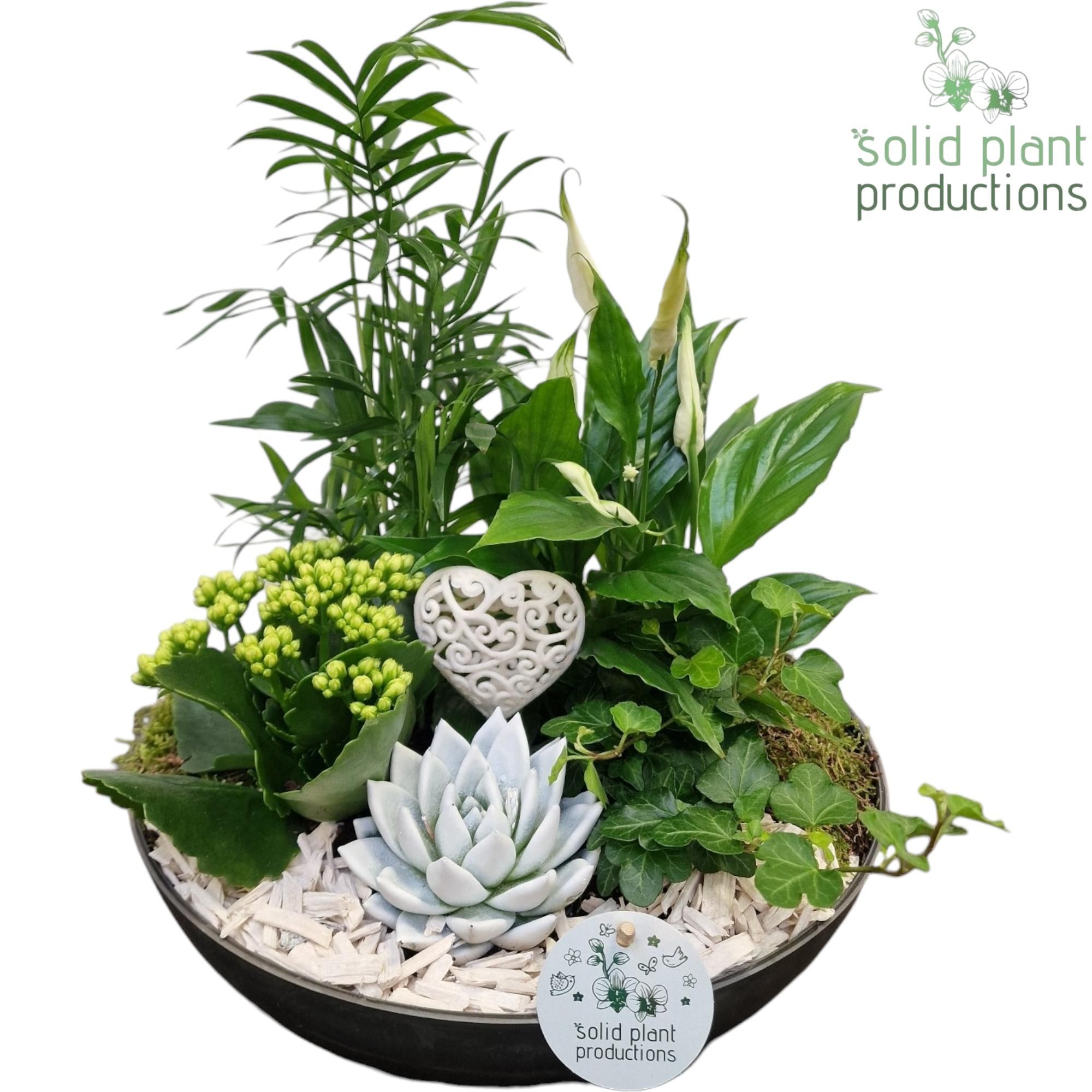 SCE011 Artstone White Love, D 30