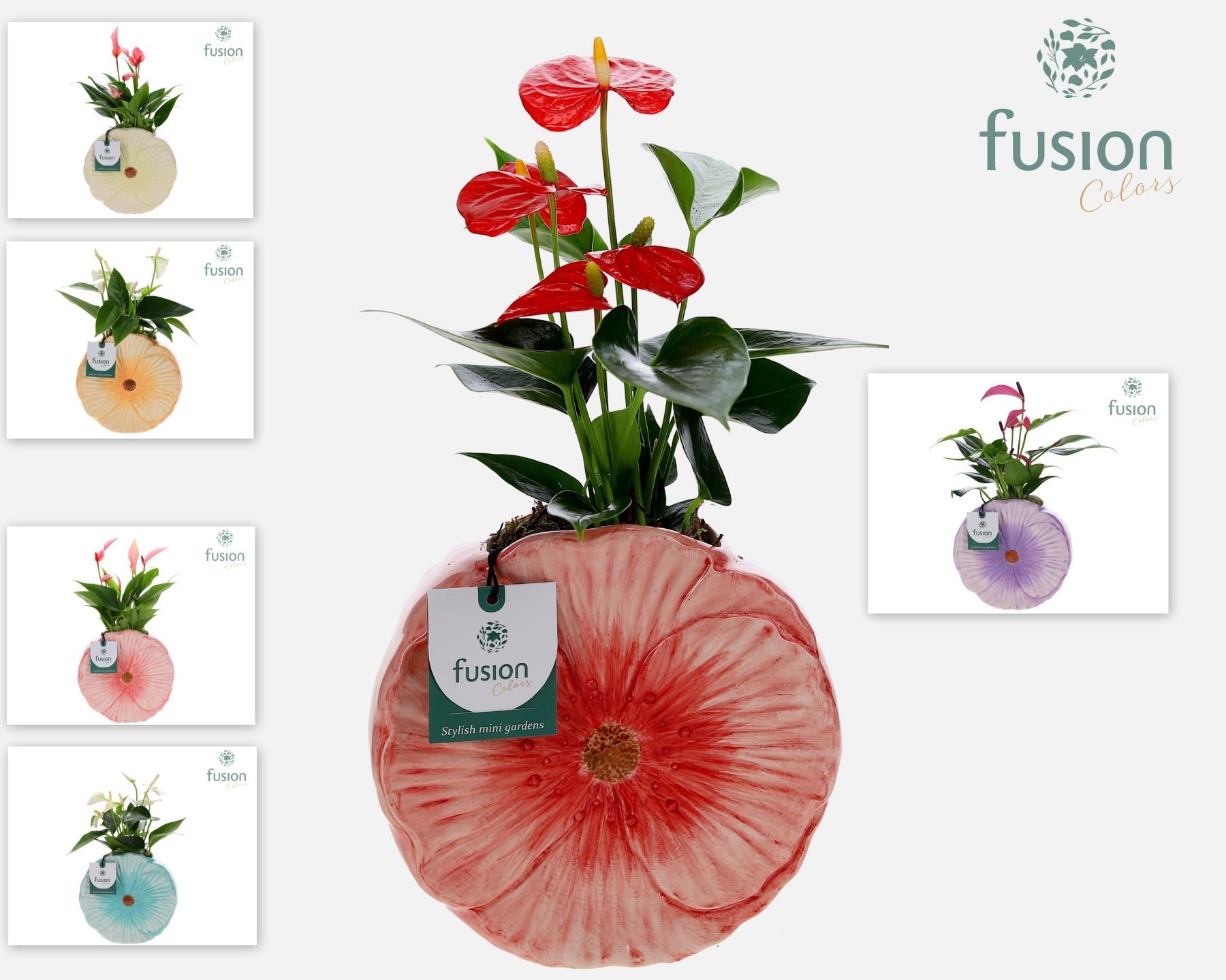 Keramiek Medium pot met Anthurium, D 18