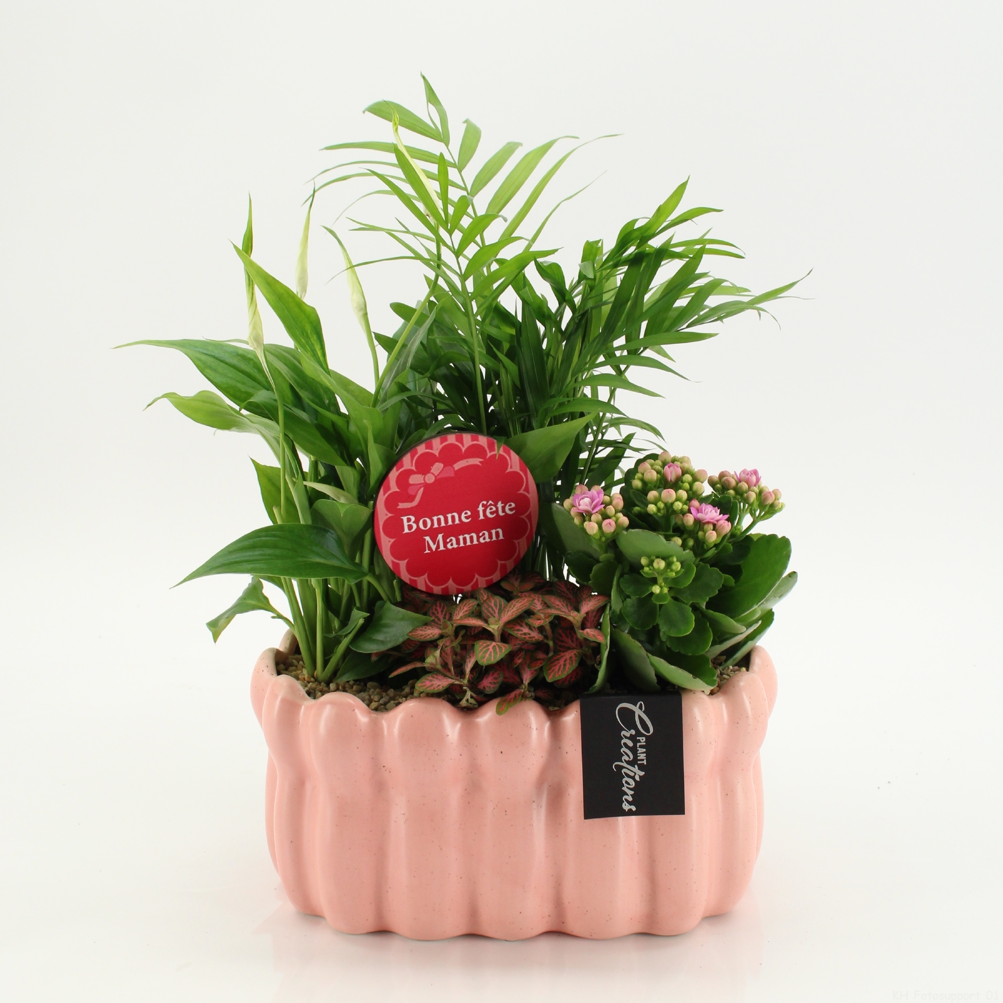 FRMD-2607RZ Bonne Fete Maman, D 23