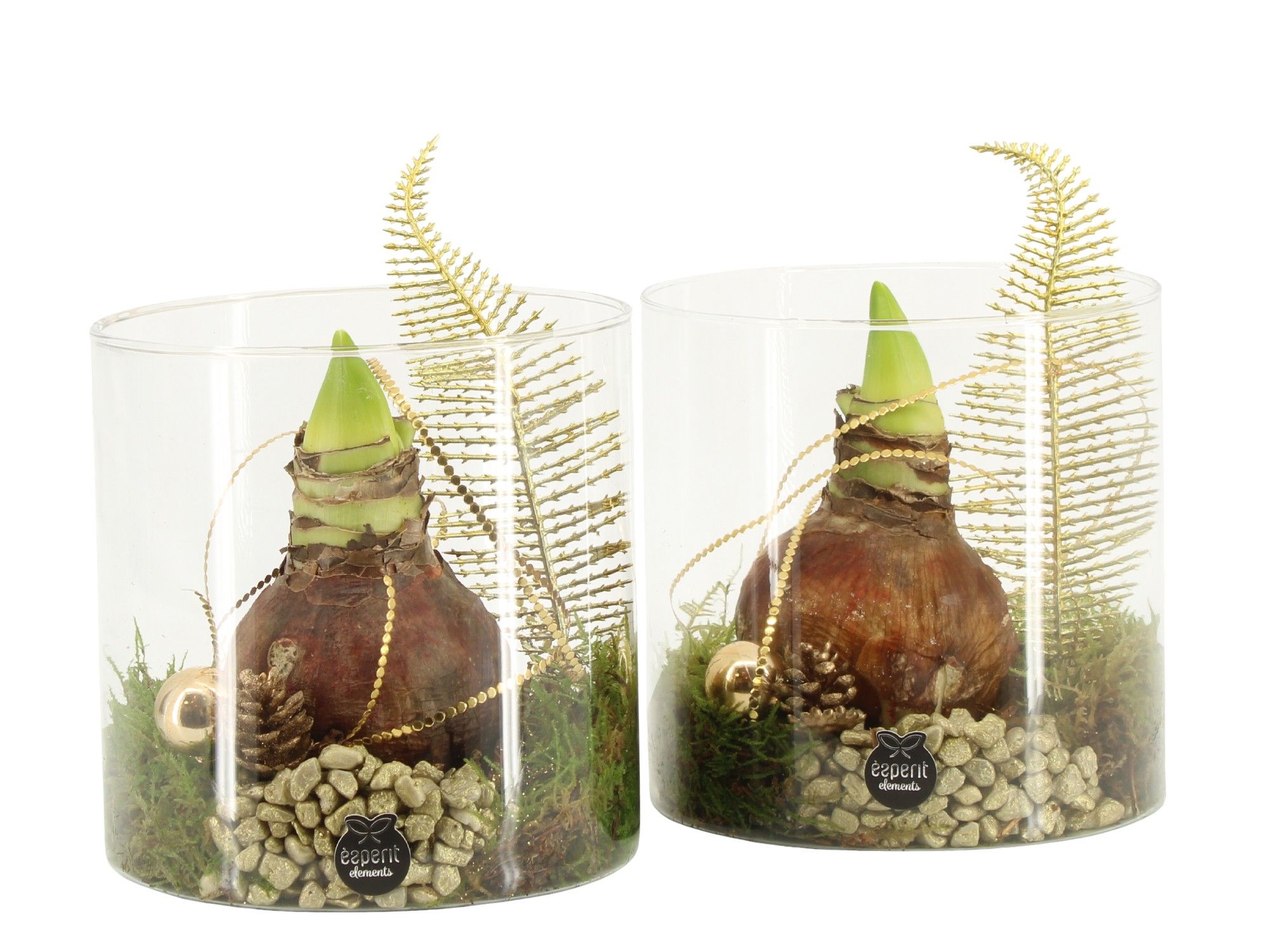 61921: X-mas arrangement, D 15