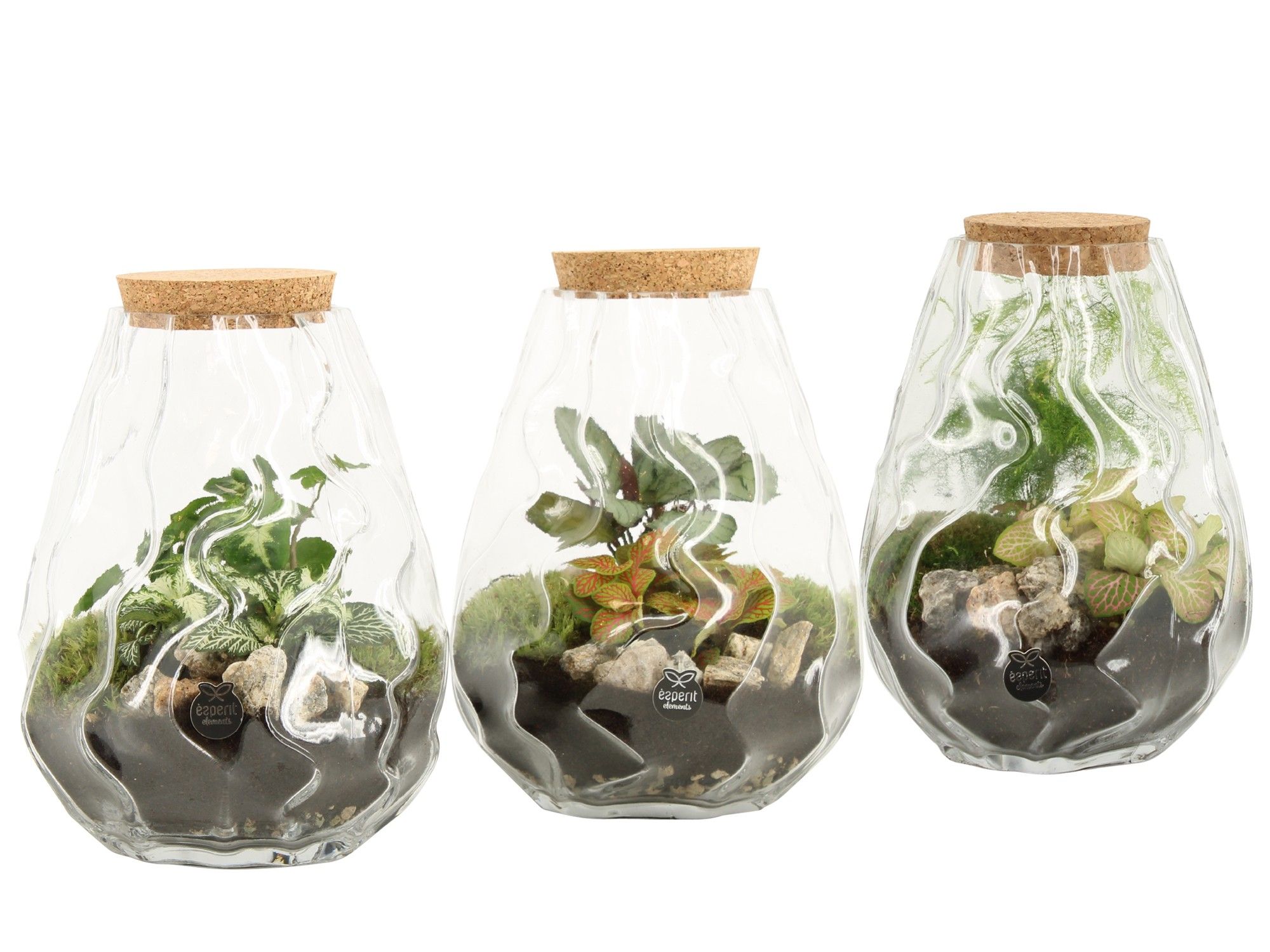90682: Terrarium arrangement, D 17