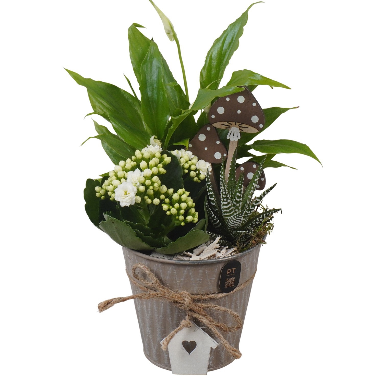 PTHI3412 Arrangement Autumn Indoor in metalen pot, D 12