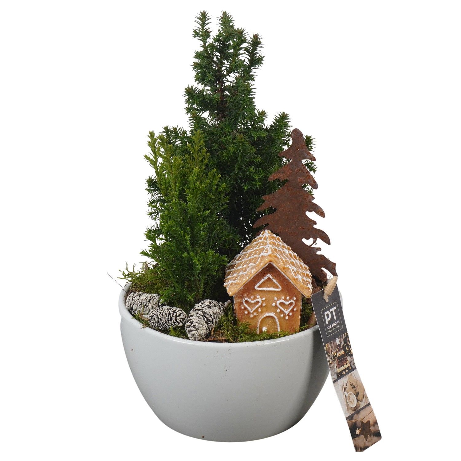 PTCWW6919 Arrangement Winter in keramiek schaal, D 15 cm