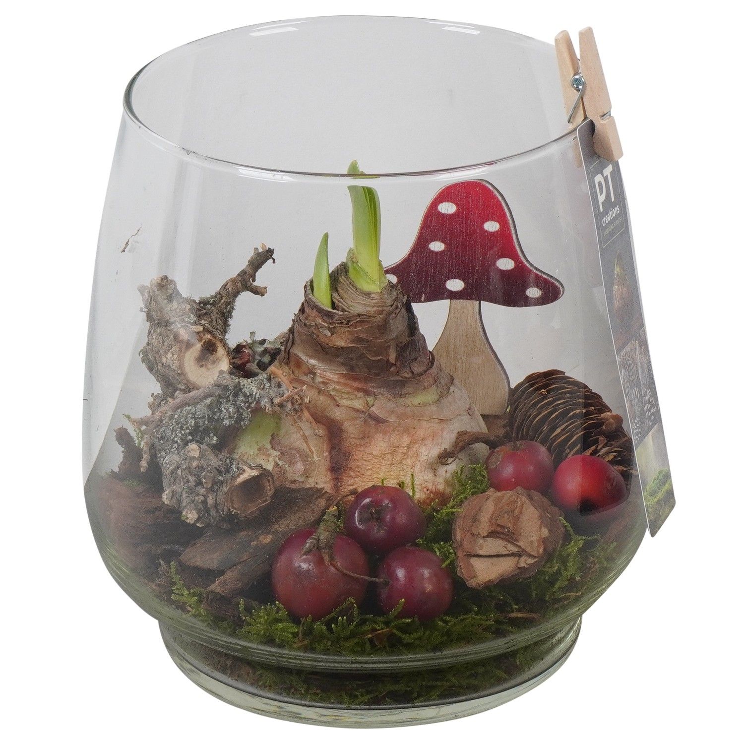 PTAA7571 Arrangement Amaryllis in glazen vaas, D 16 cm