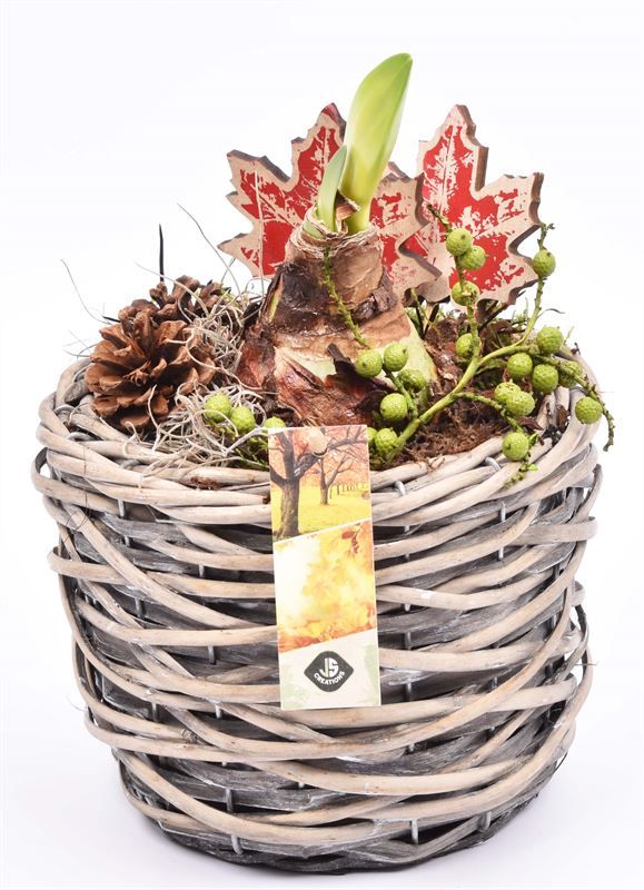 Wilg mand grijs 18cm, D 18 cm