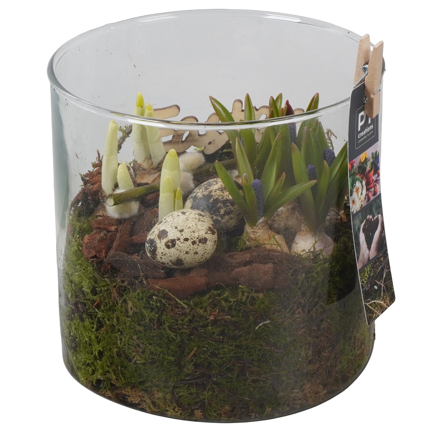 PTBMP5755 Arrangement Easter Bulbs Mix in glazen vaas, D 15