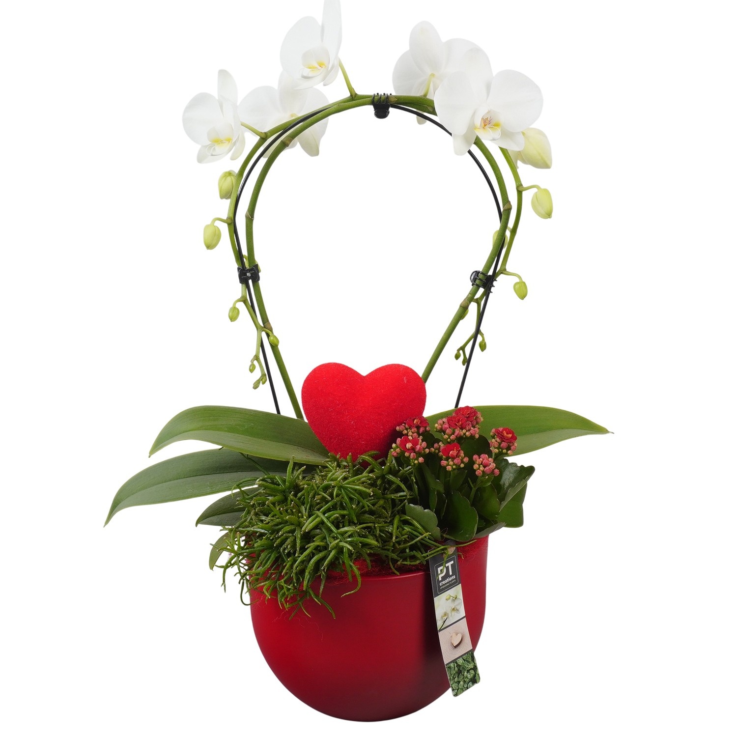 PTVMB2208 Arrangement Valentines-Mothersday in keramiek sierpot, D 19