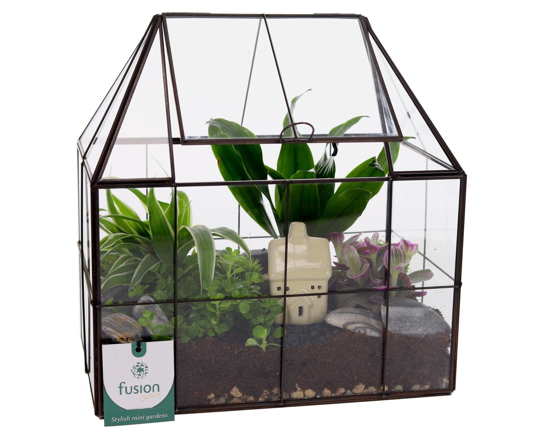 Metaal Geometrisch Medium planter met Terrarium, D 25