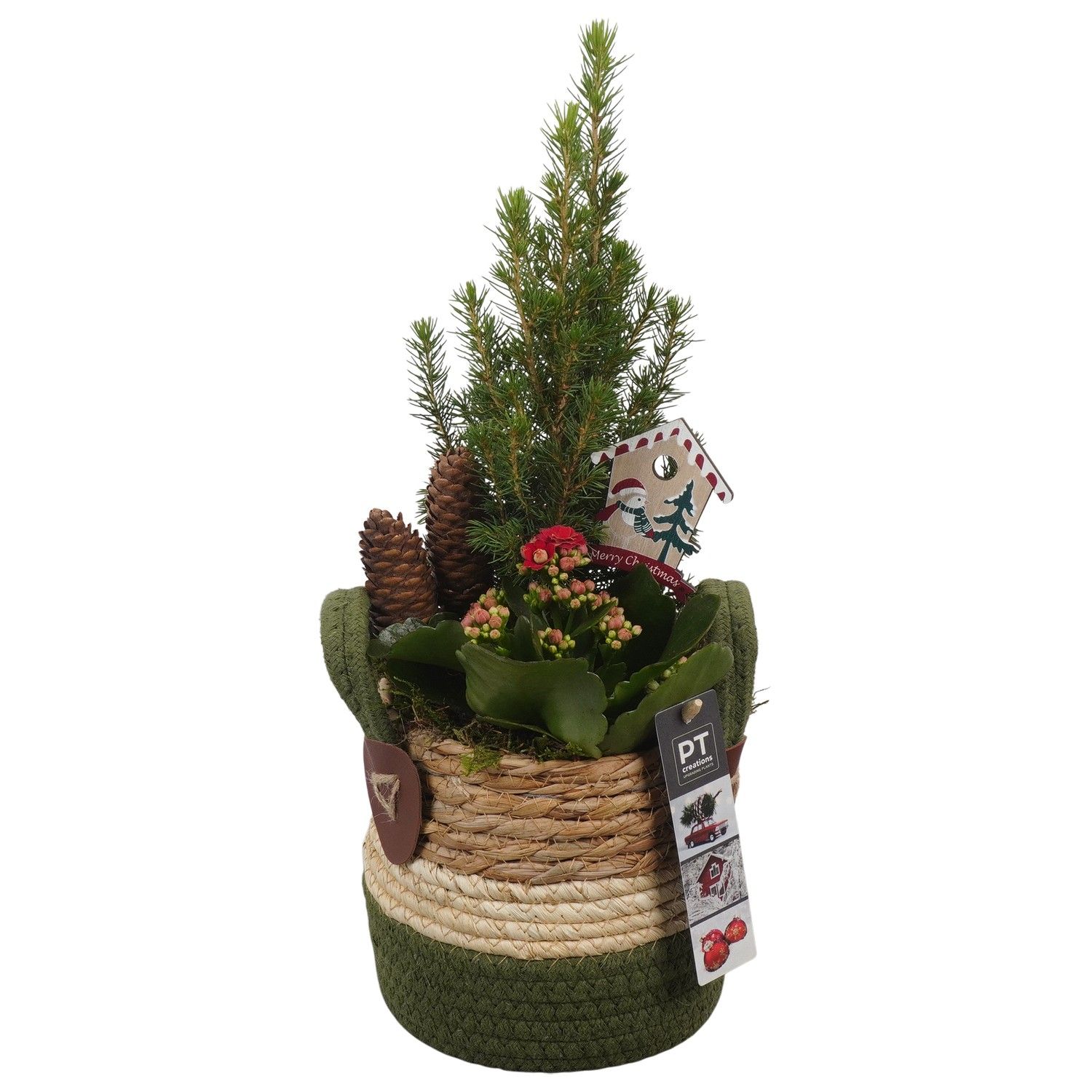 PTCHR7374 Arrangement Christmas Red in rieten mand, D 13 cm