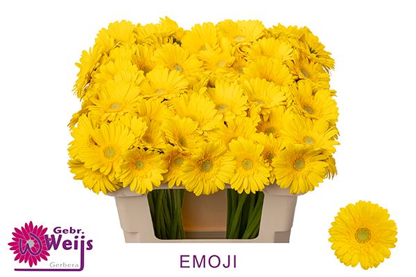 Гермини Эмоджи, шт.