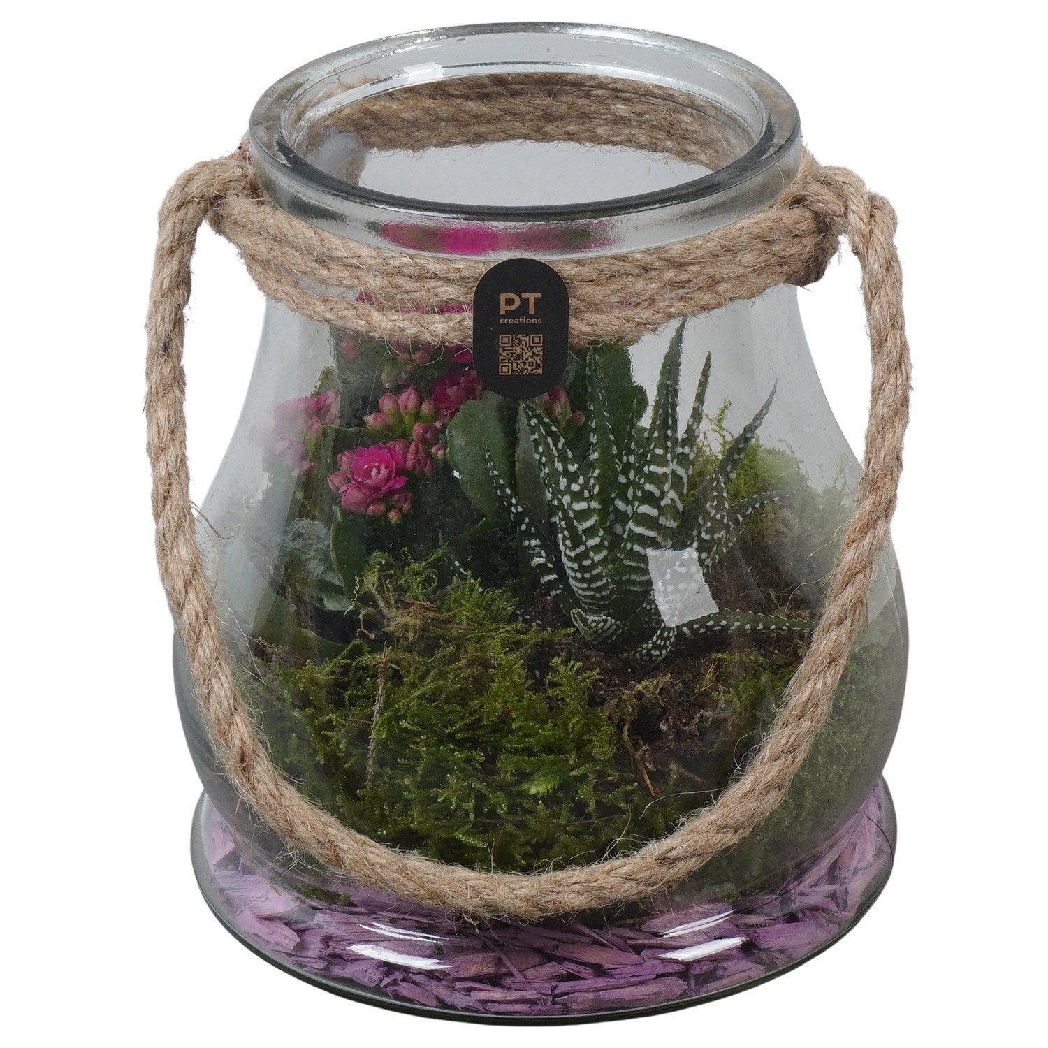 PTIG2695 Arrangement Indoor in glazen vaas, D 16