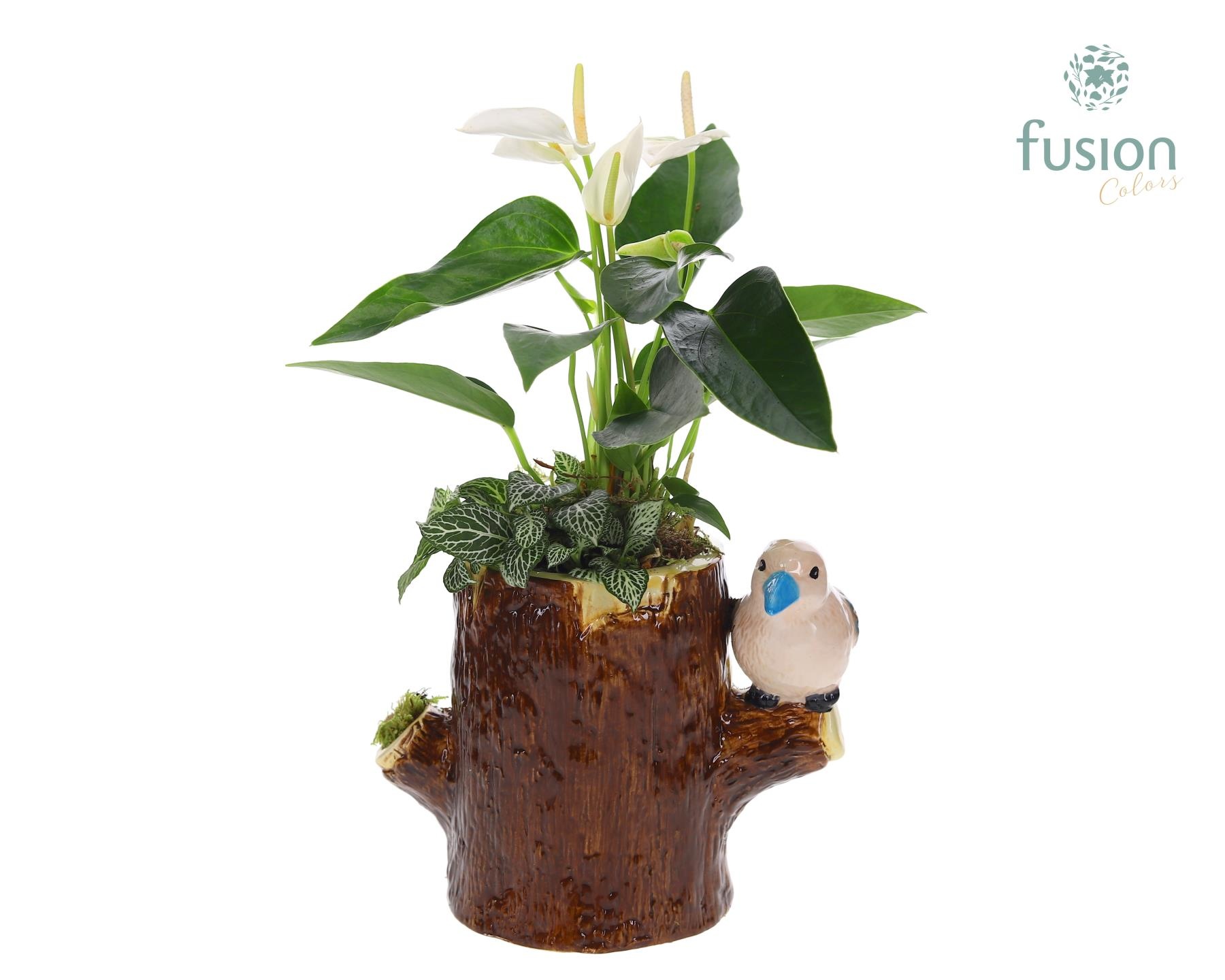 Keramiek boomstam planter met Aragement, D 19 cm Keramiek boomstam planter met Aragement, D 19 cm