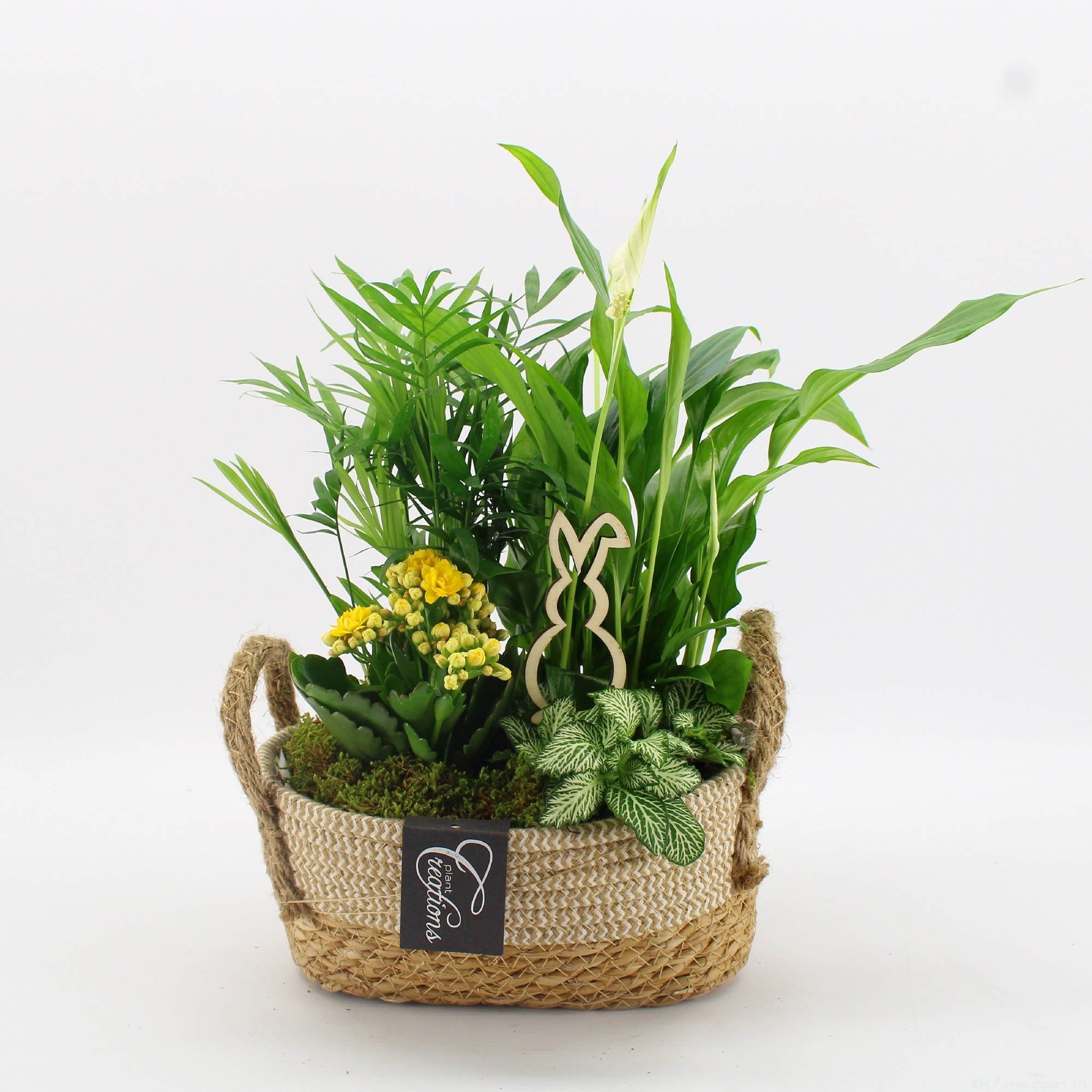 FDPS-2618 Easter Fundamentals, D 24