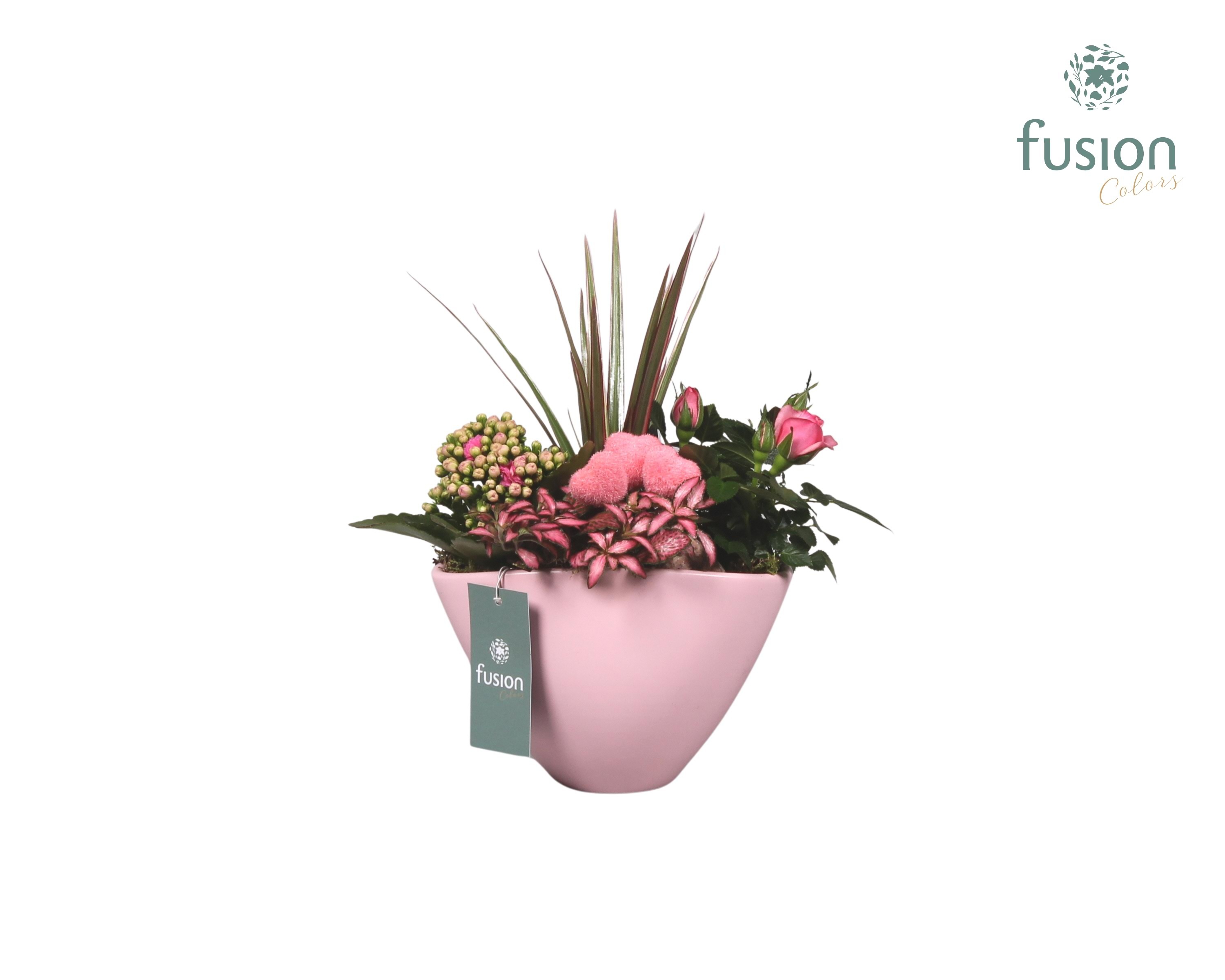 Keramiek pot ovaal roze met lovearrangement, D 18