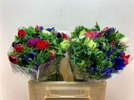 Анемон Микс в пачке 35, шт.