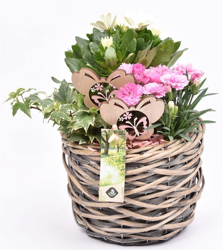 Wilg mand grijs 18cm, D 18