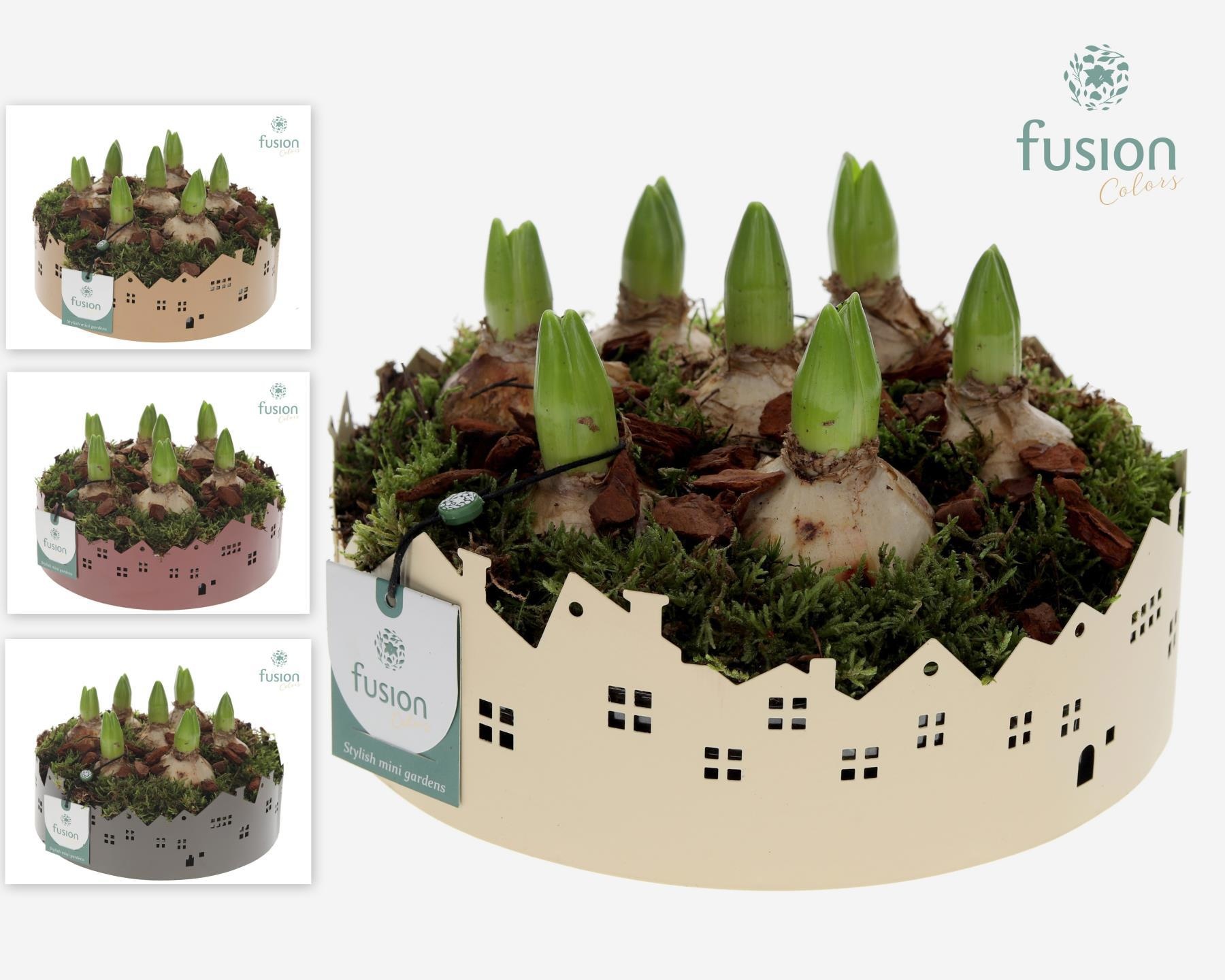 Zinken schaal Huisjes Large Hyacinthus, D 22