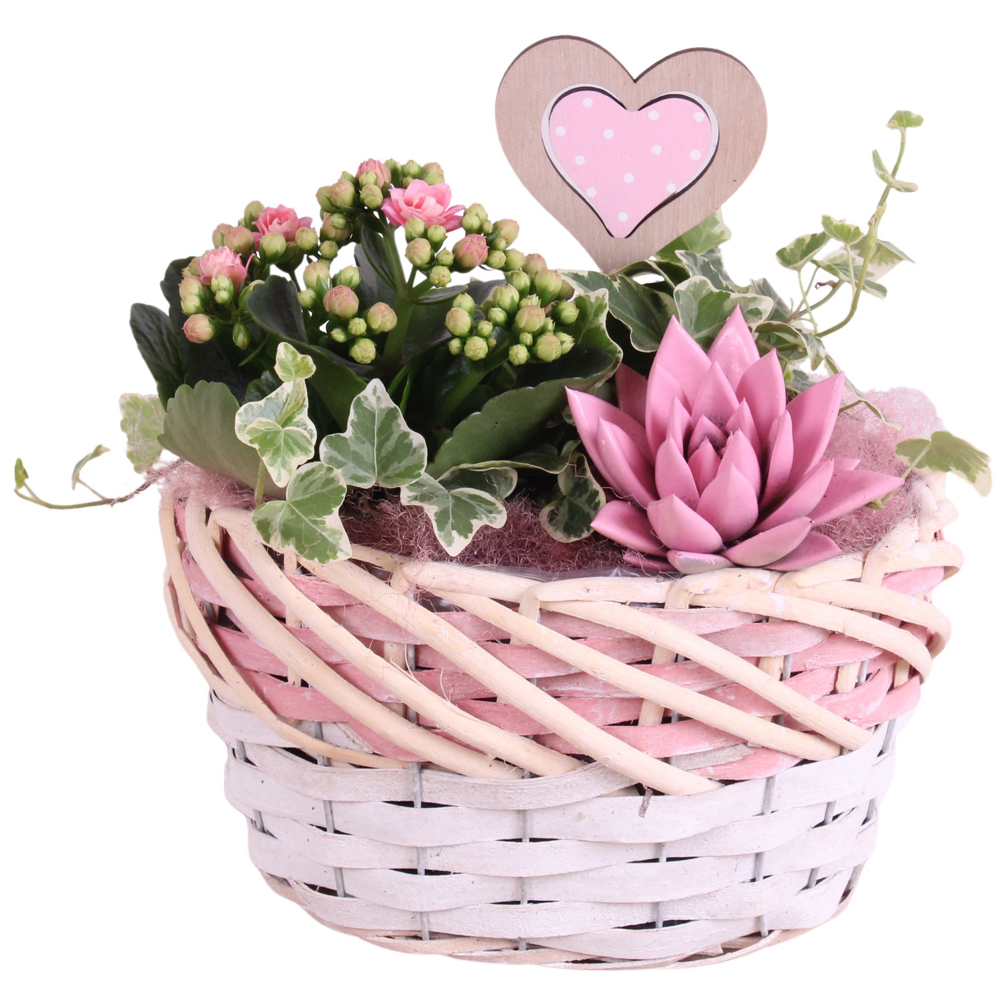 Mothersday Arr. Indoor Willow Basket Oval Threetone Ø22cm 3PP, D 22