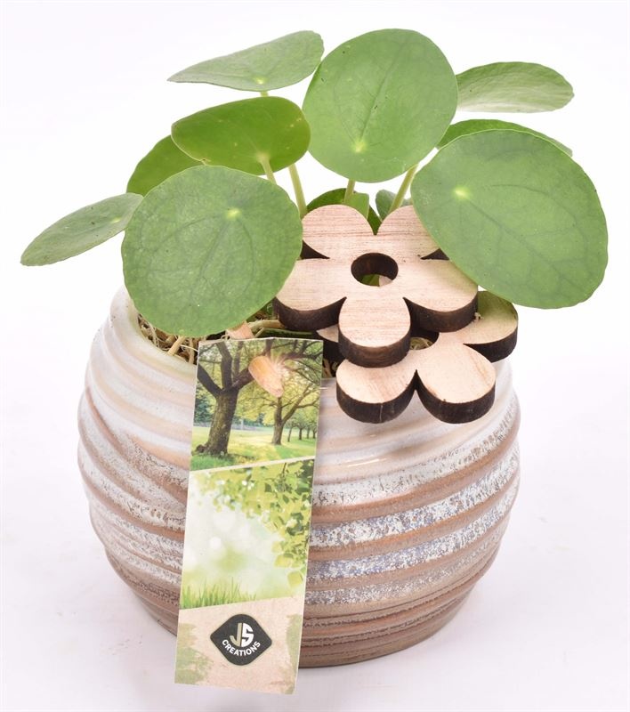 Keramiek sierpot bruin/creme10cm, D 10