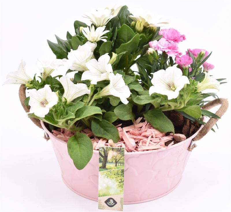 Zink schaal roze hart decor 20cm, D 20