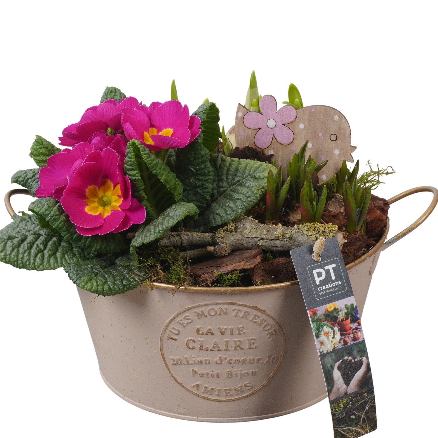 PTBM3749 Arrangement Flower Bulbs Mix in metalen pot, D 20