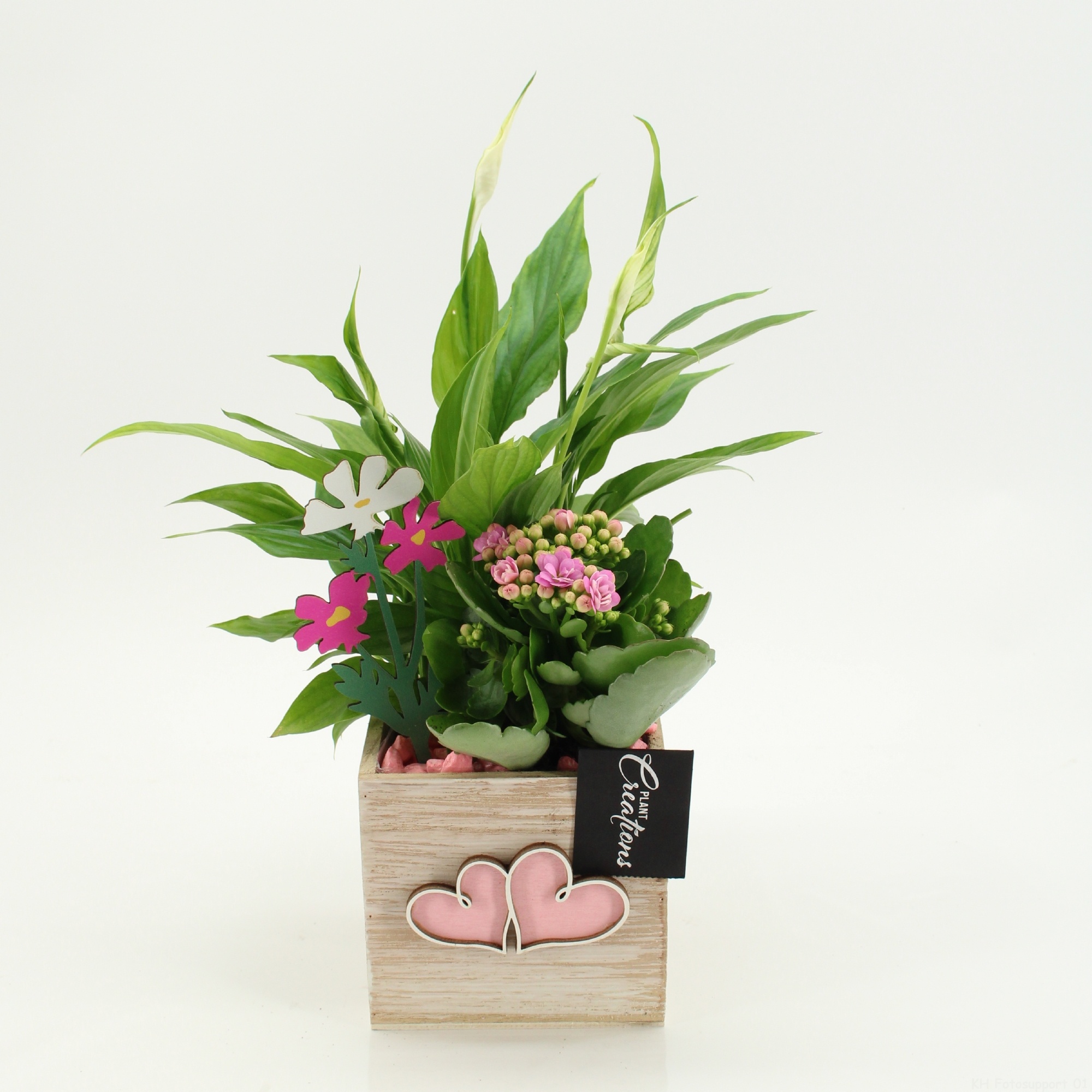 ENMD-2617 English Mother's day, D 11