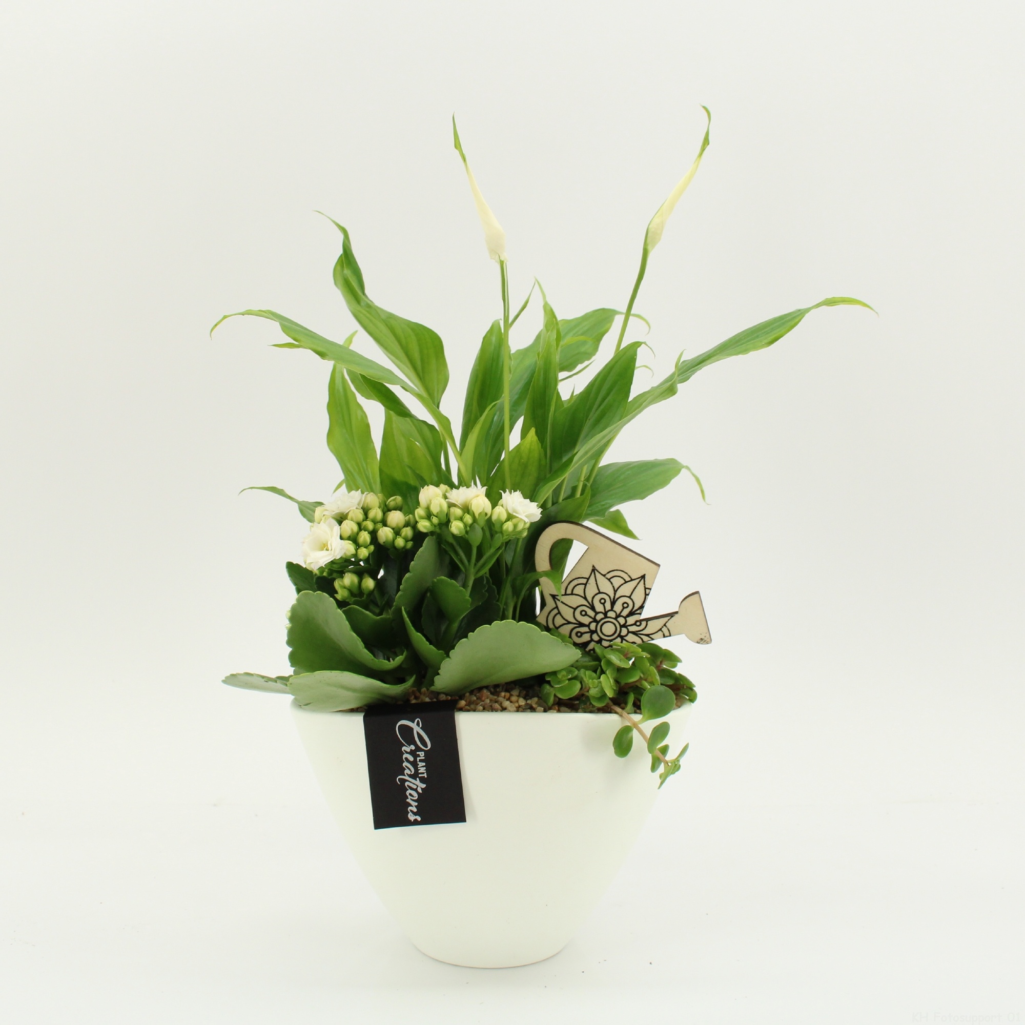 FDCR-2610W Basic Fundamentals, D 18