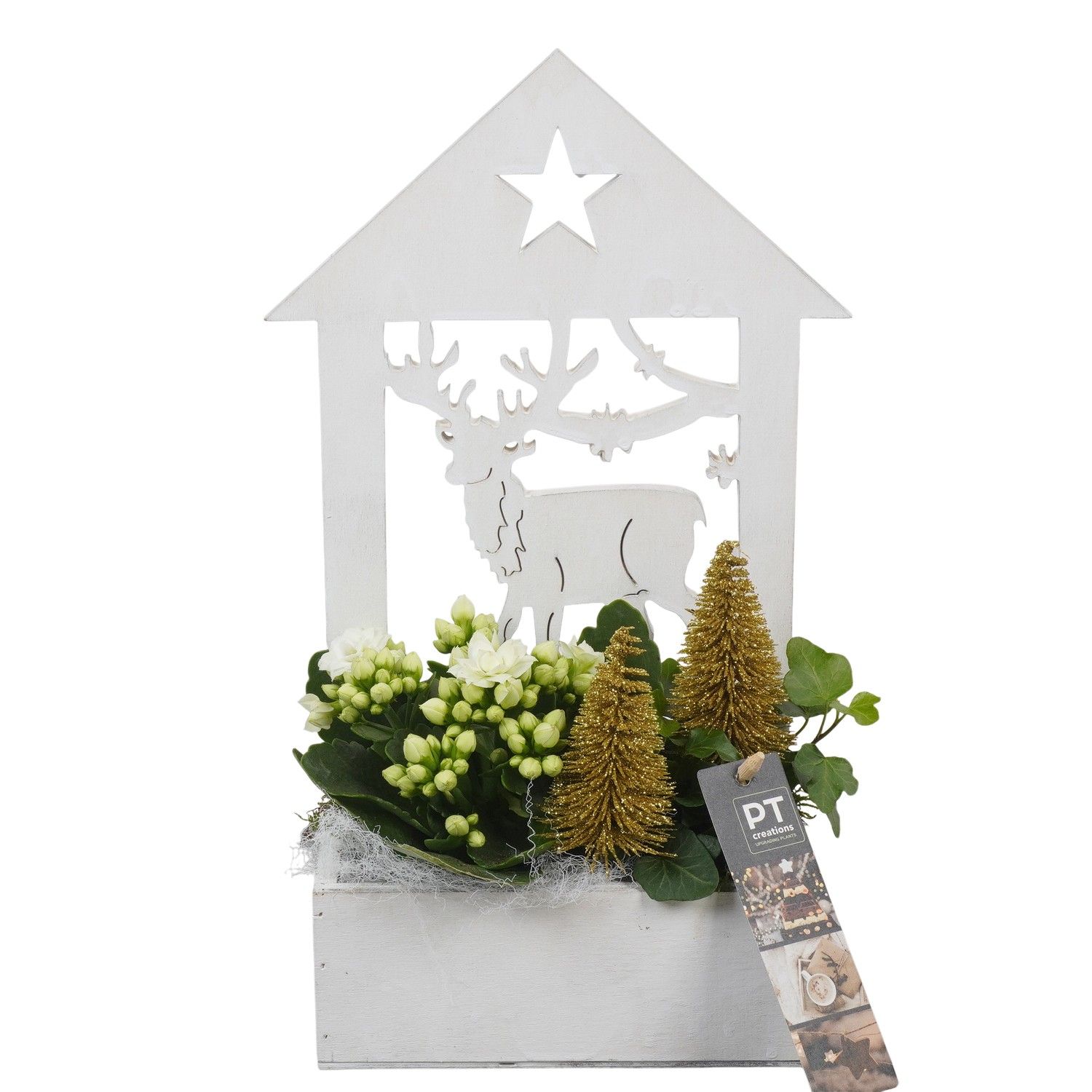 PTCHG5698 Arrangement Christmas Gold in houten bak, D 16 cm