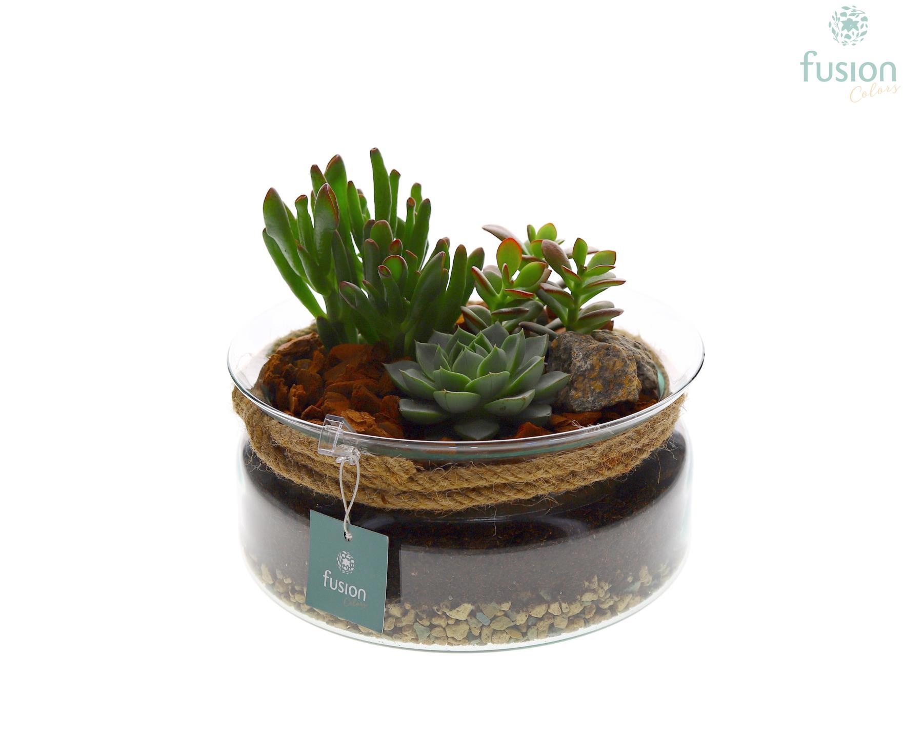 Glazen schaal met touw FC22.0787, D 15