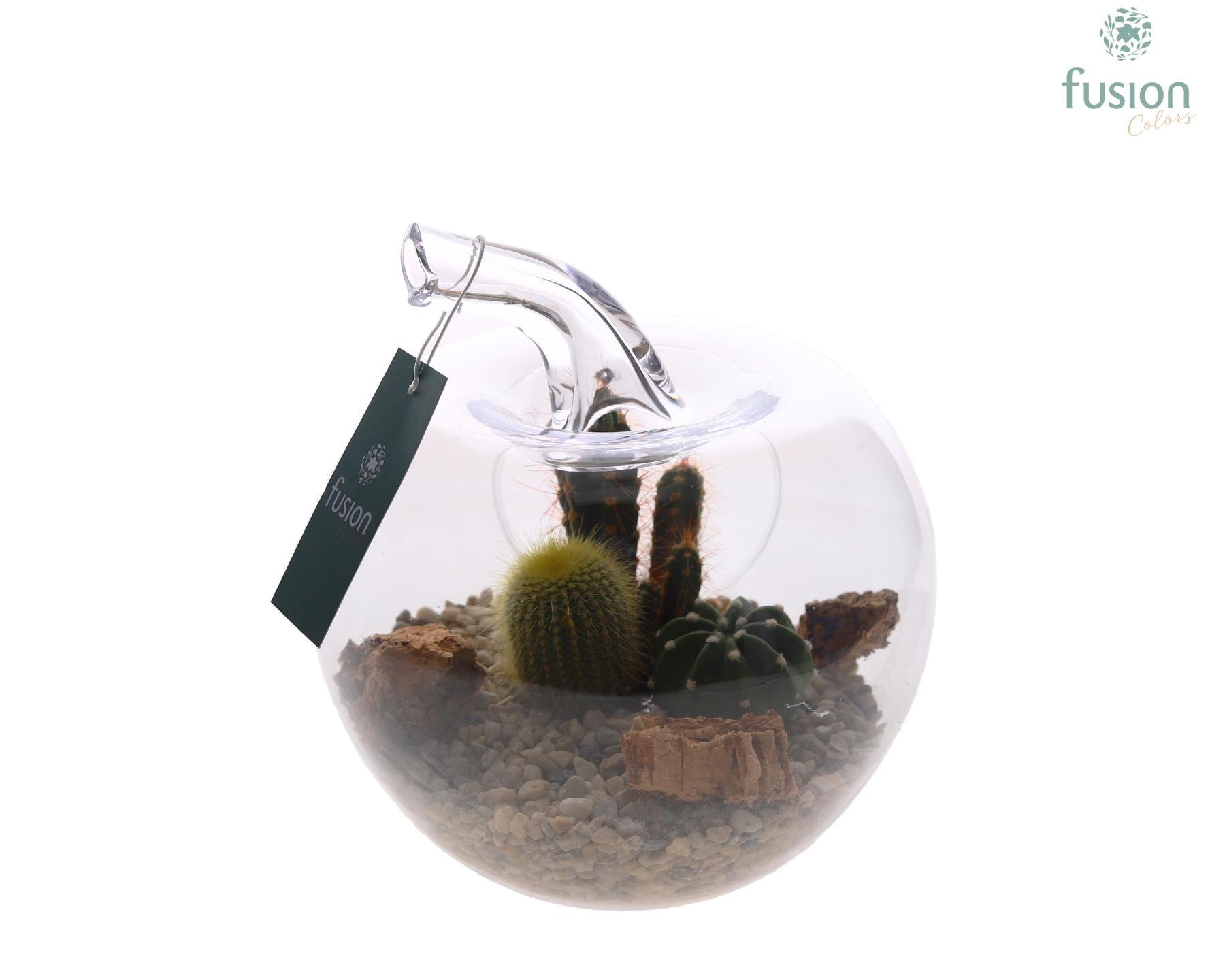 Glazen appel met Arrangement D18.5 H21, D 19