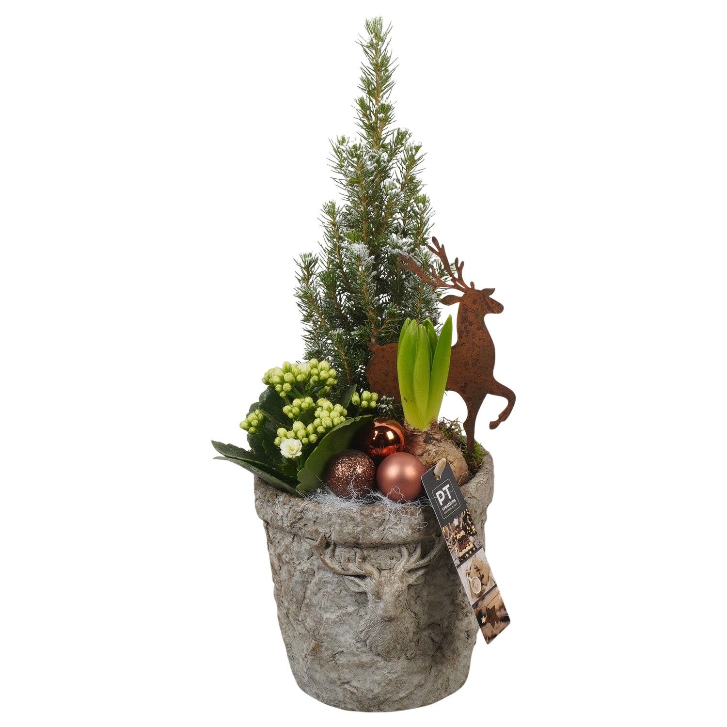 PTCHB9774 Arrangement Christmas Bronze in beton pot, D 17 cm