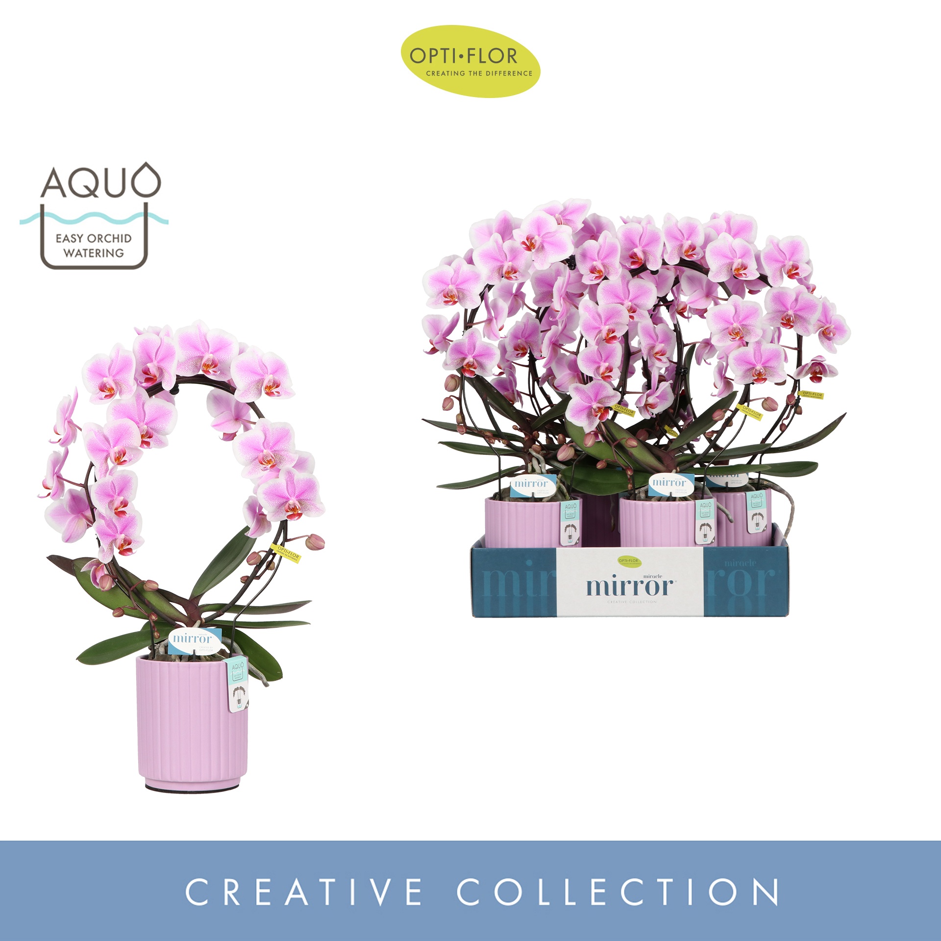 Mirror Miracle Jasmine 2 spike in Molise Lilac Aquo, D 12 cm