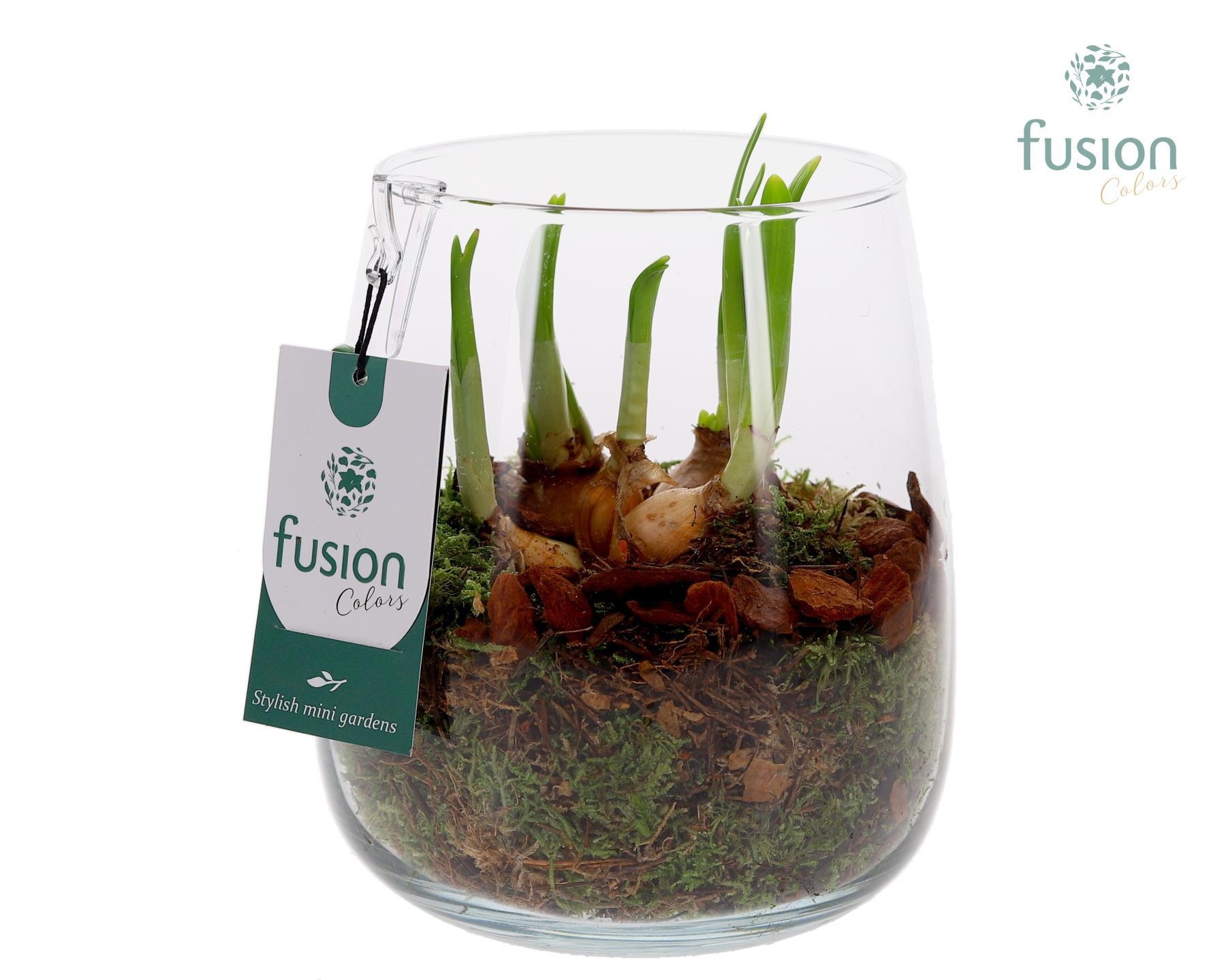 Glas Alzada klein met Narcissus, D 15