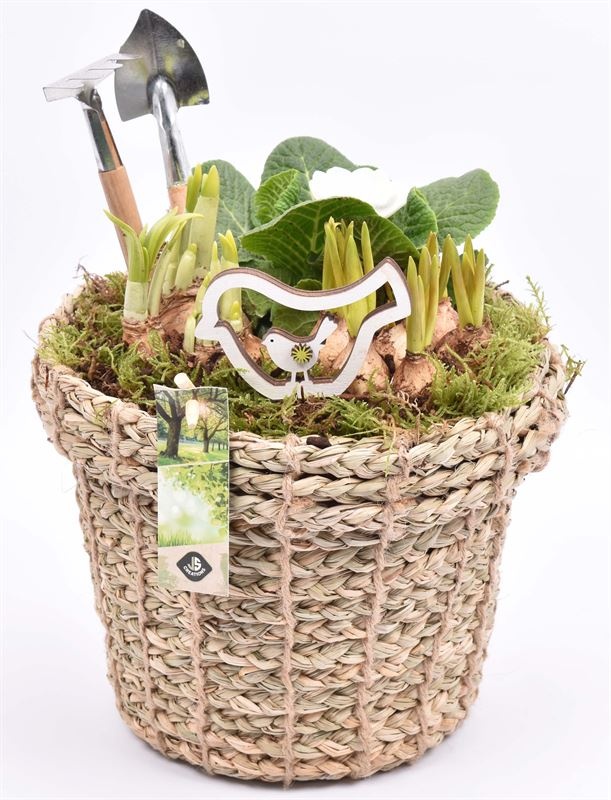 Touwmand met rand 17cm, D 17