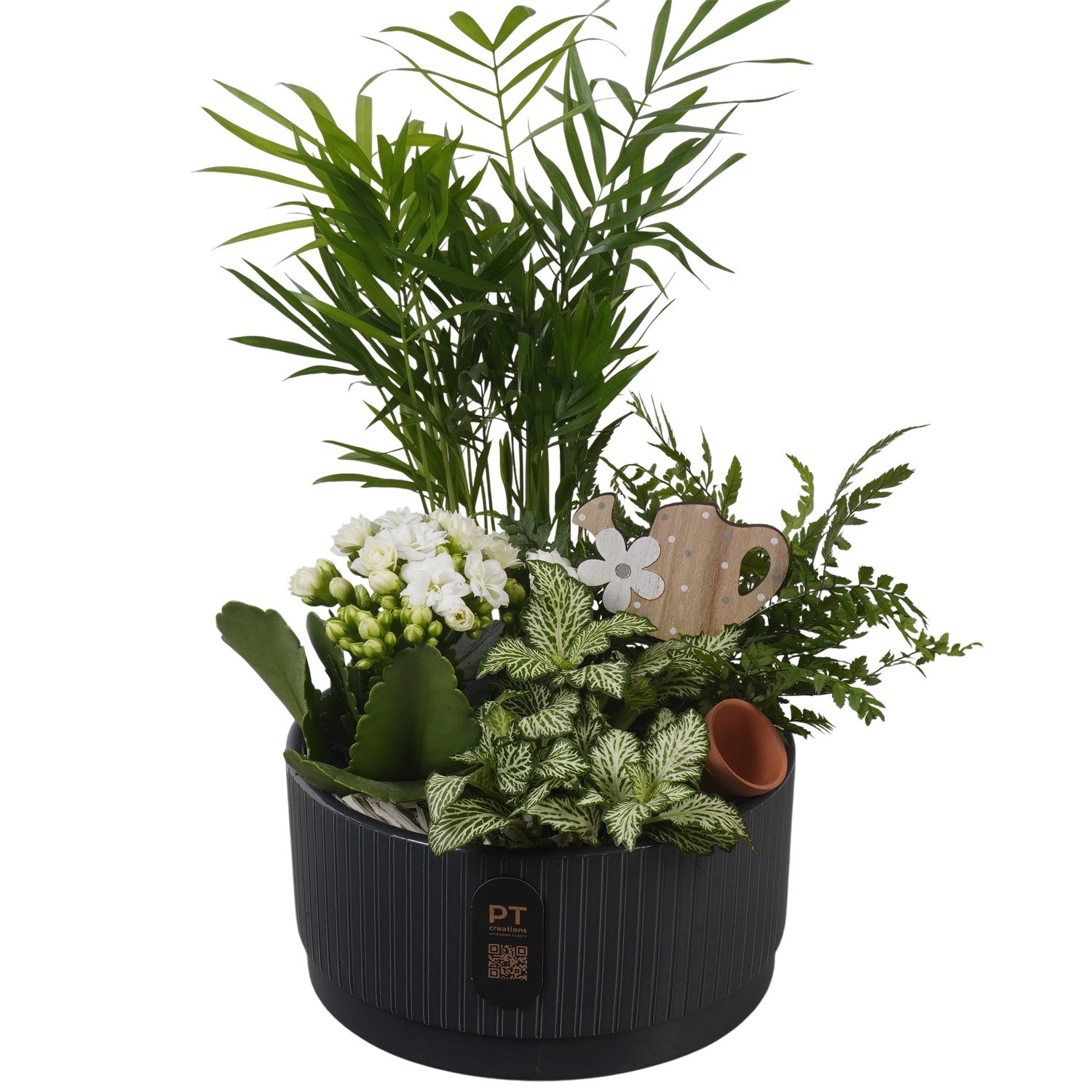 PTIB5127 Arrangement Indoor in keramiek schaal, D 19