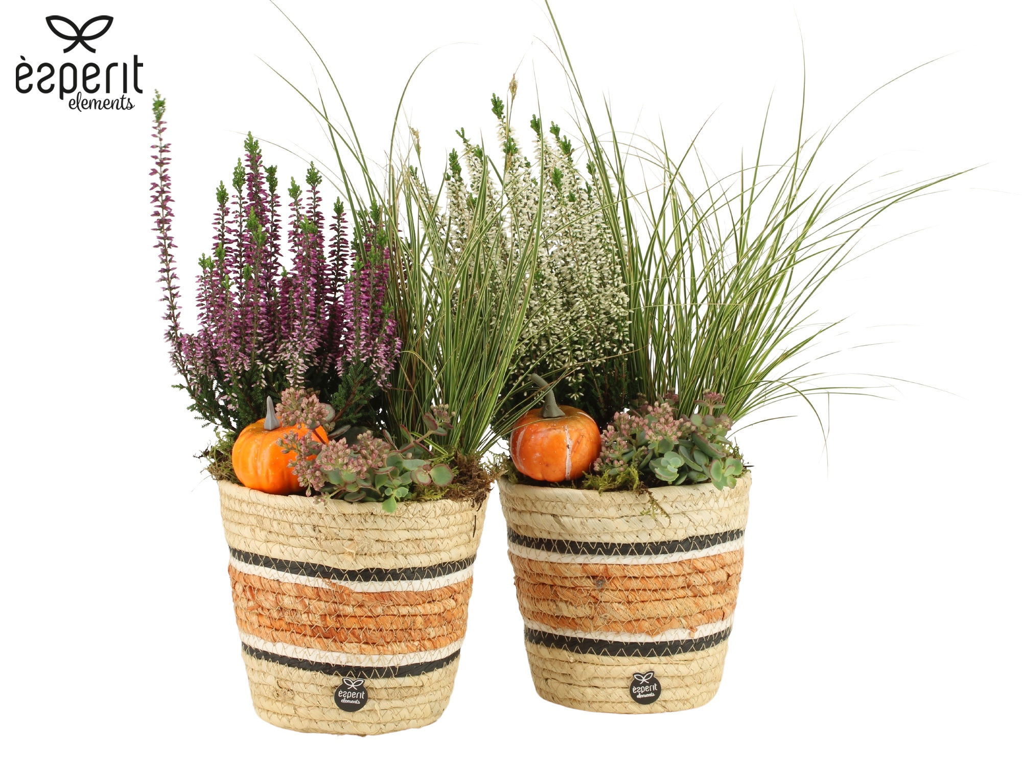 41716: Outdoor autumn arrangement, D 14