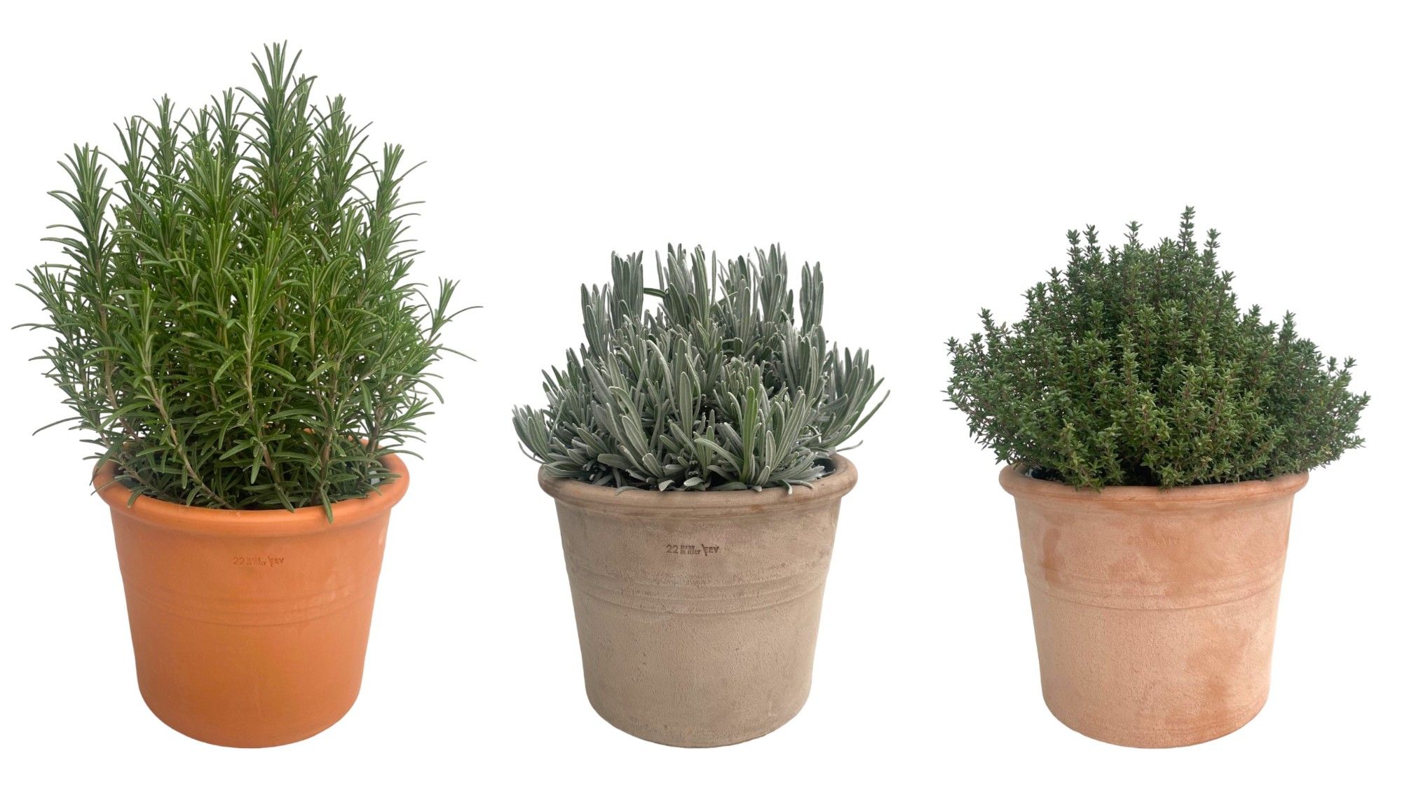 Kruiden mix in luxe terracotta pot, D 22