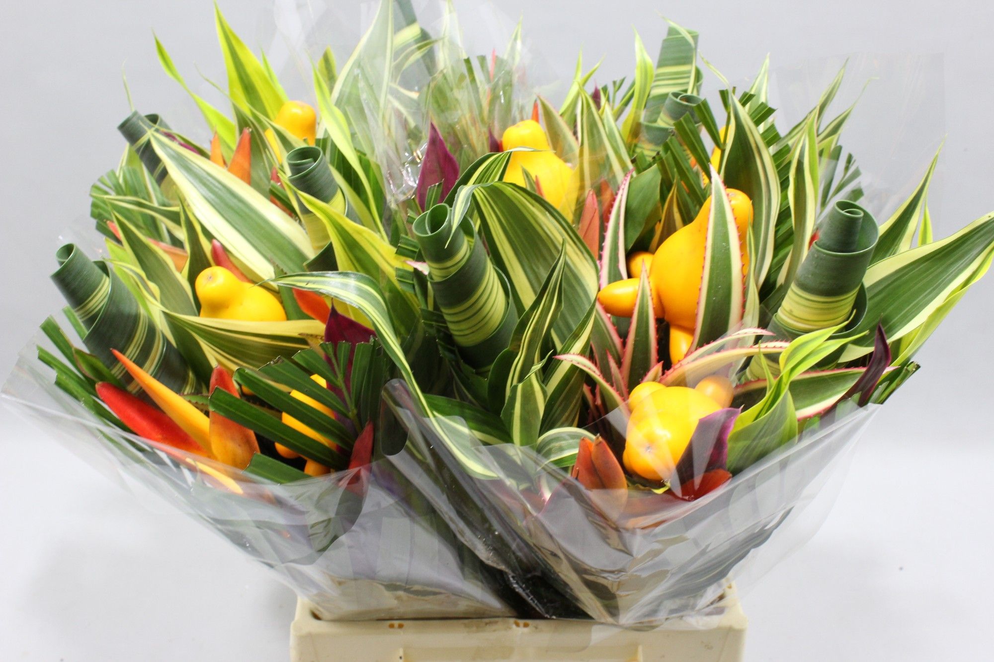 Геликония Овериг 45, шт.