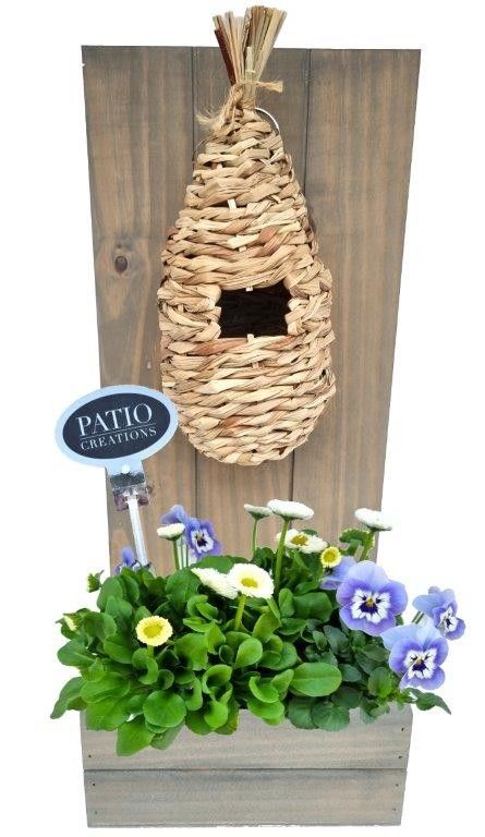 VB803-9001 Viola/Bellis plantenbak nestkorf, D 20