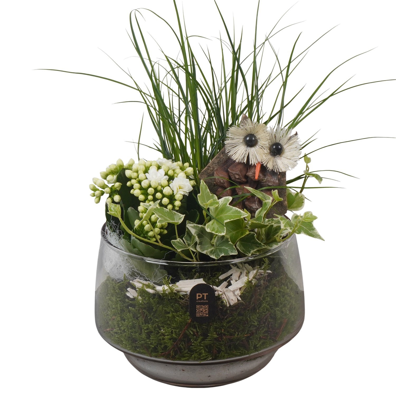 PTHG8248 Arrangement Autumn Glass in glas schaal, D 17