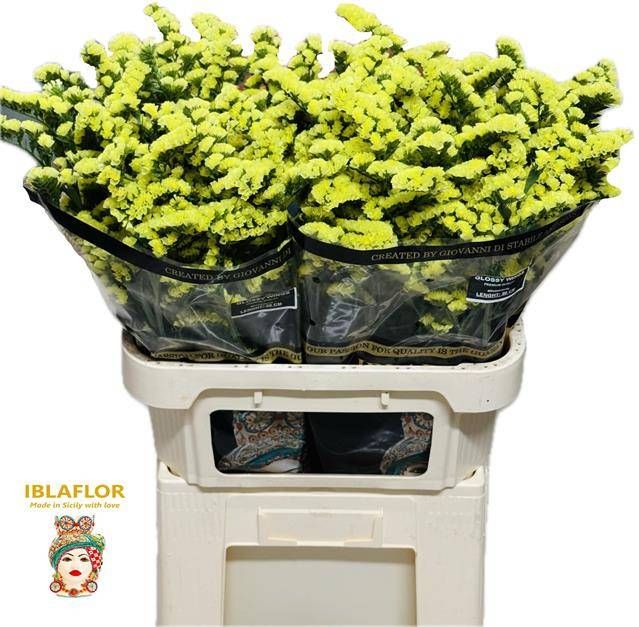 Статица Глосси Вингз 80, шт.