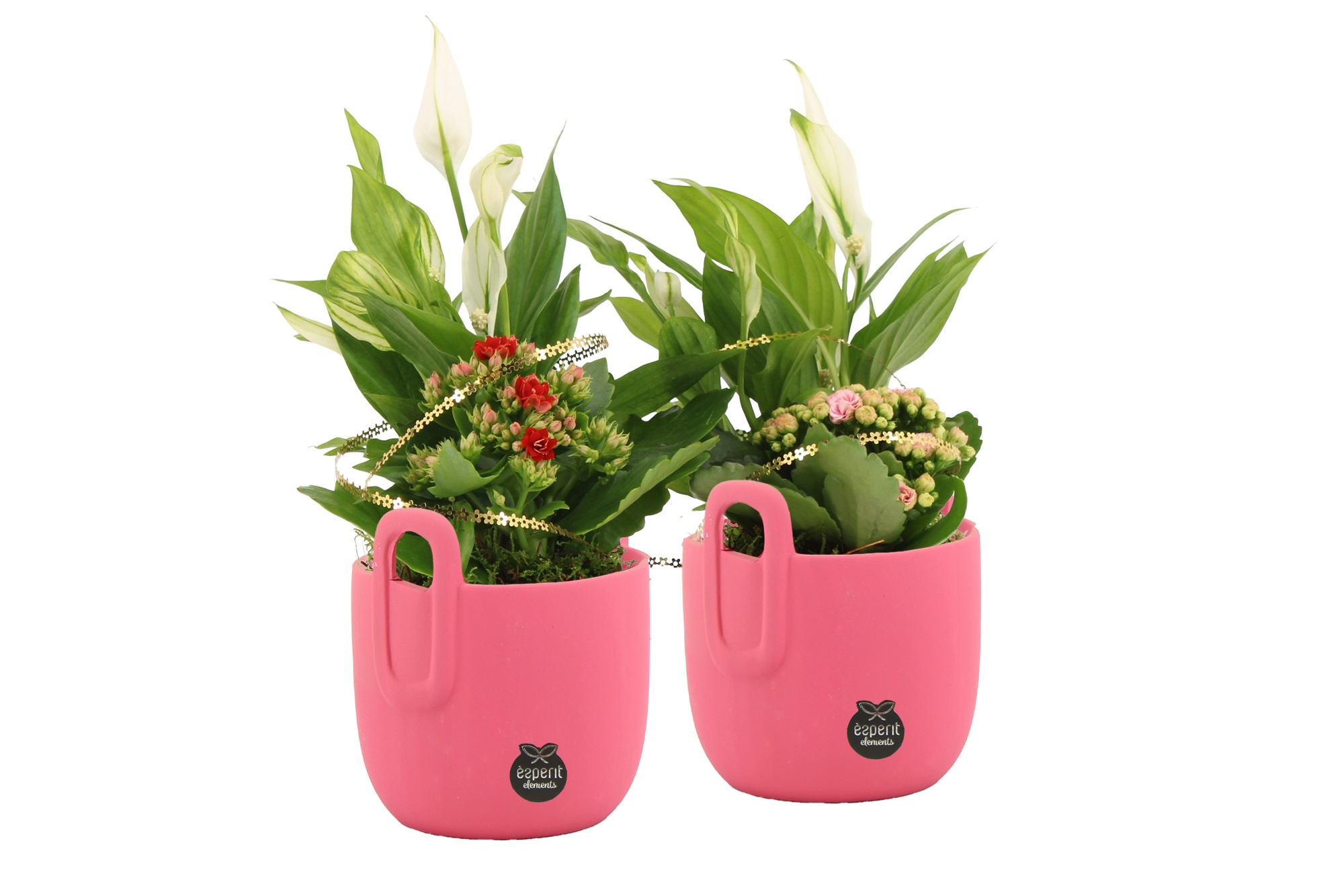 22015: Lovess arrangement, D 12