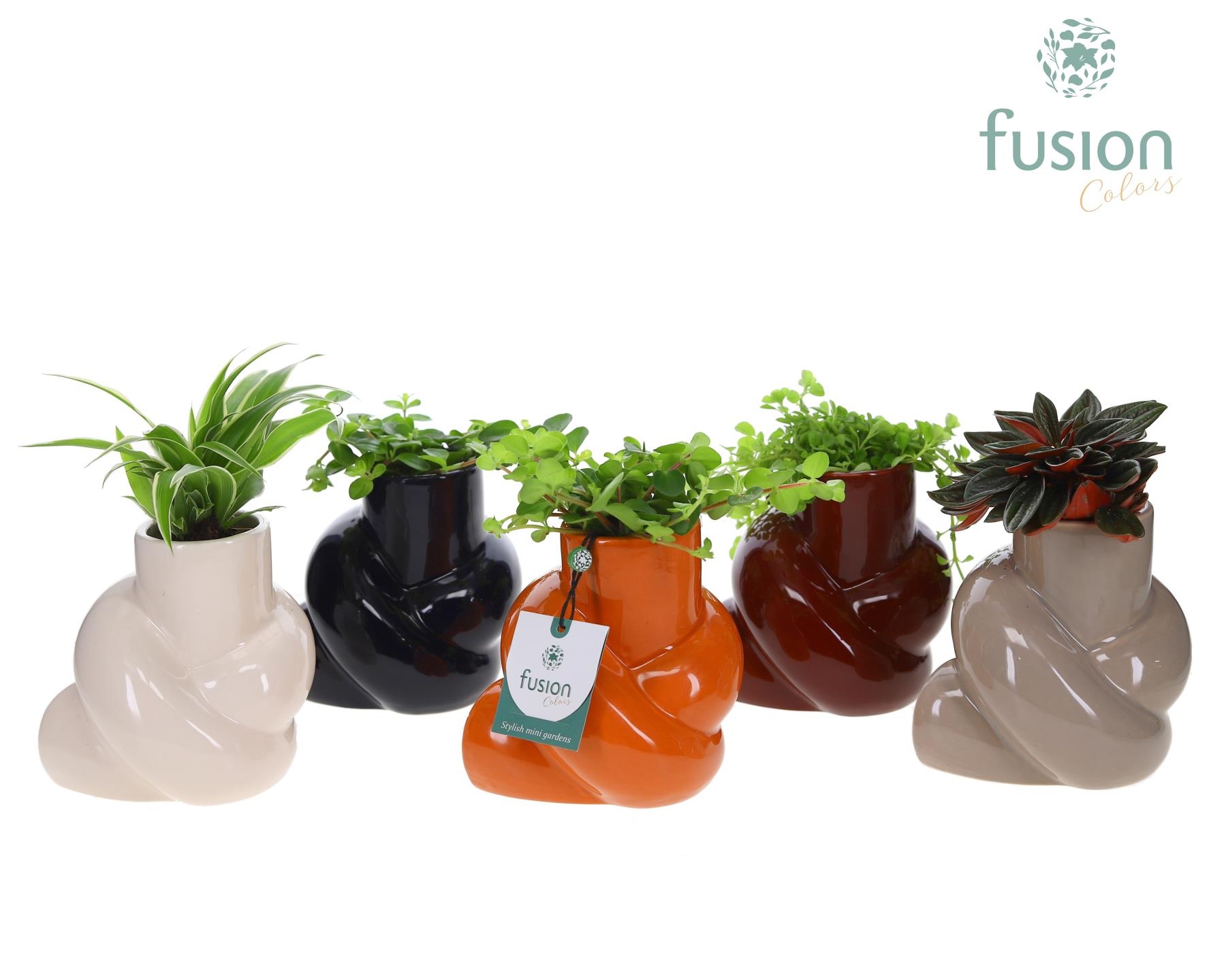 Keramiek pot met Groen planten mix, D 12