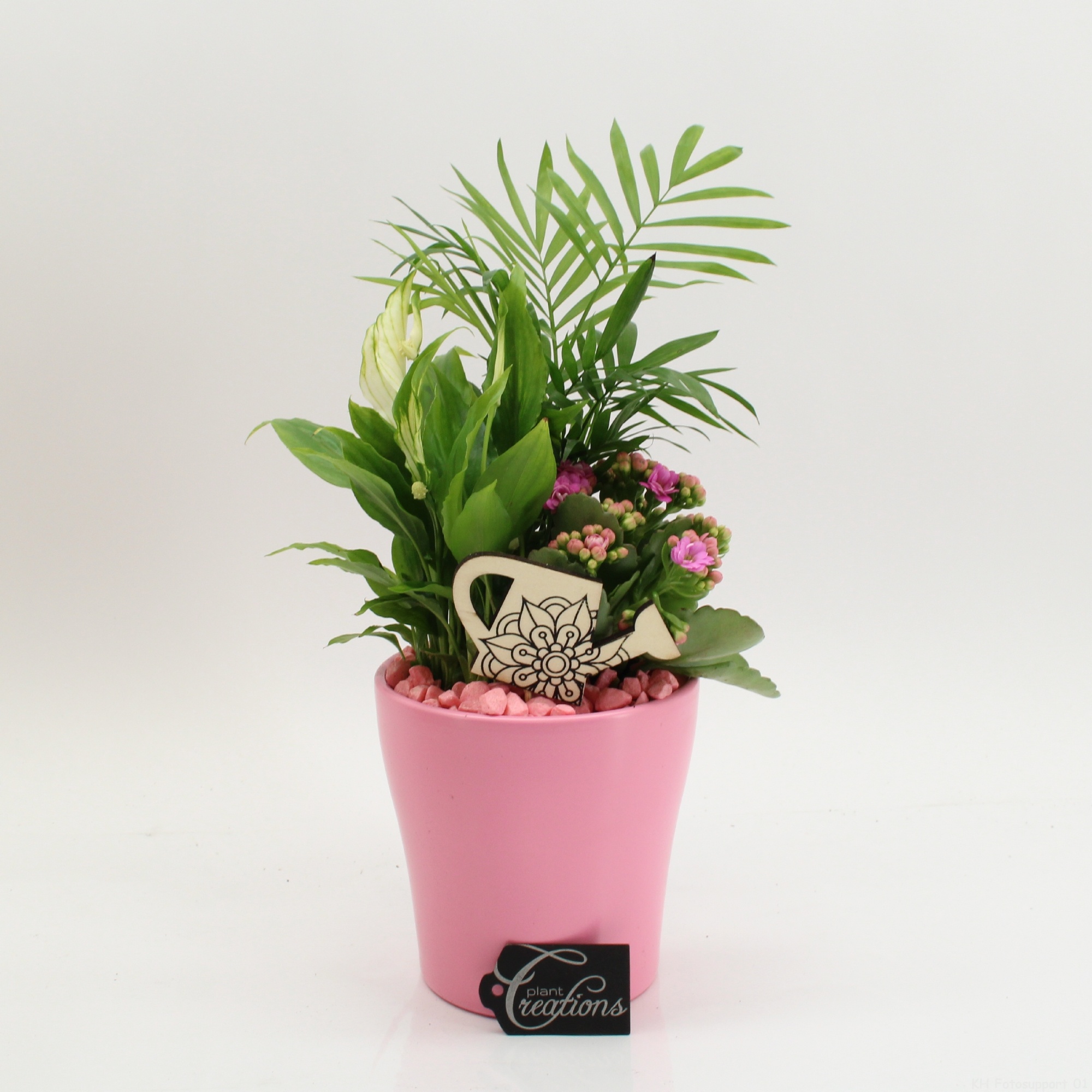 FDCR-2608RZ Basic Fundamentals, D 14