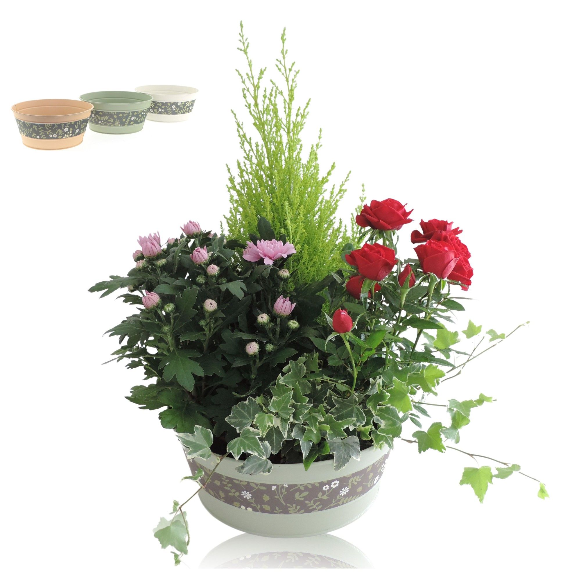 Collectie Florentina Arrangement in Schaal 25 cm, D 25