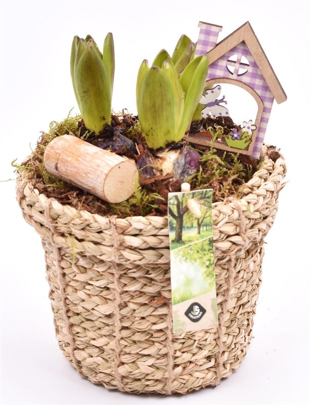 Touwmand met rand 17cm, D 17